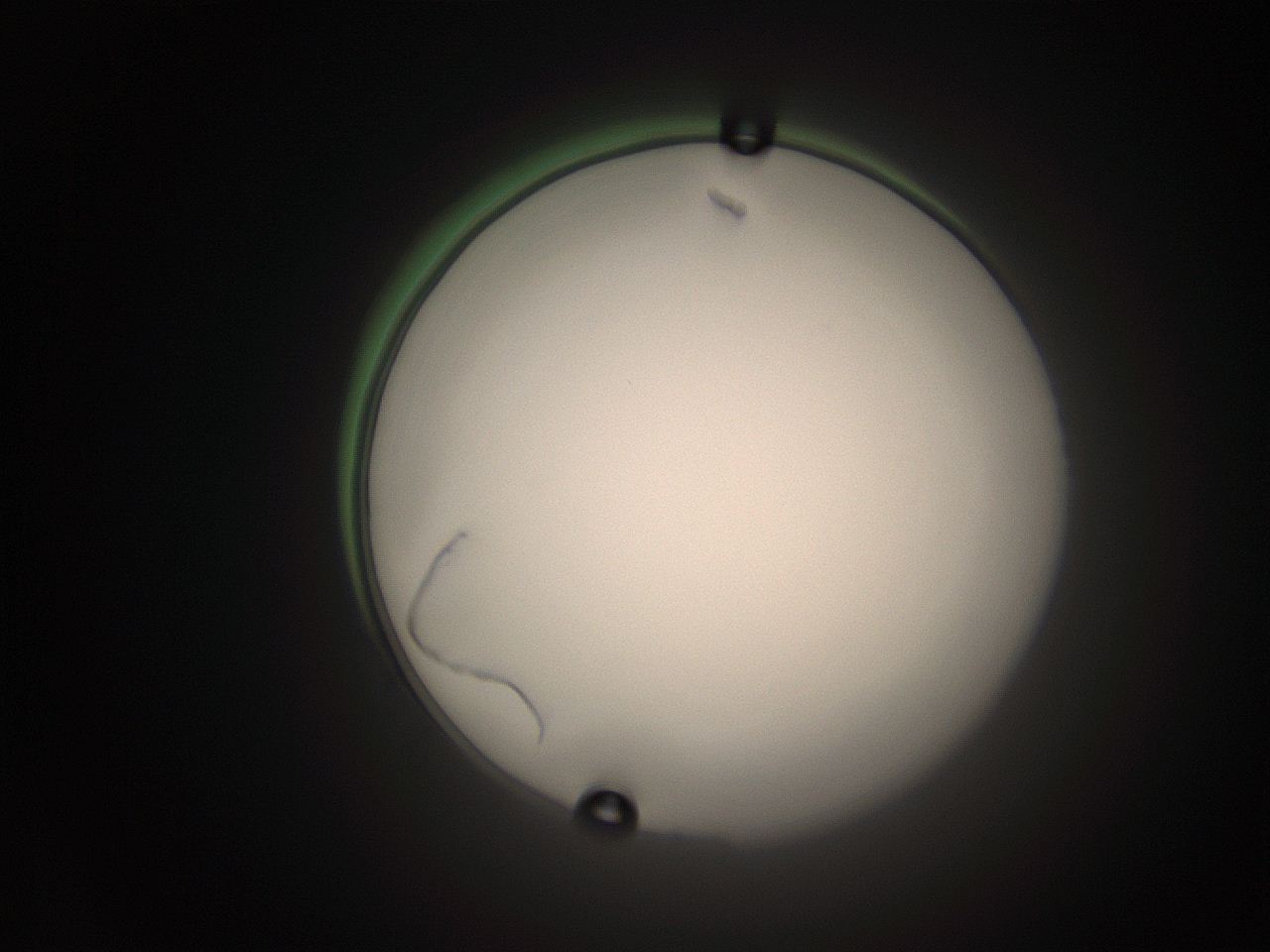 063q_A17_ImagerDefaults_5.jpg