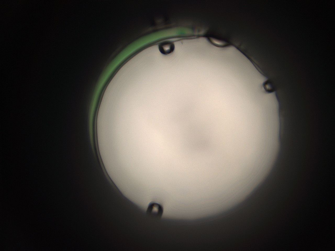 063q_A24_ImagerDefaults_1.jpg