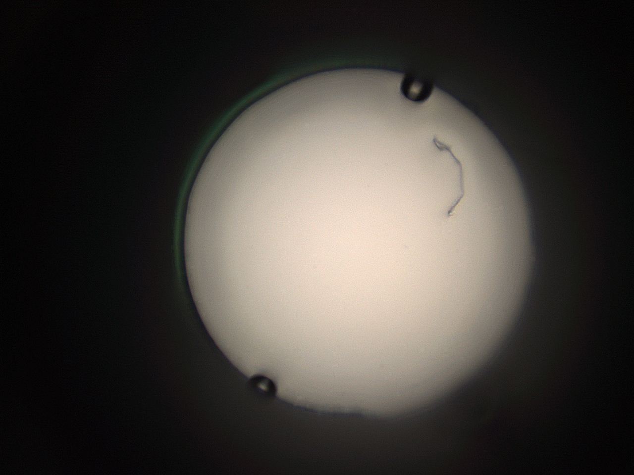 063q_C14_ImagerDefaults_1.jpg