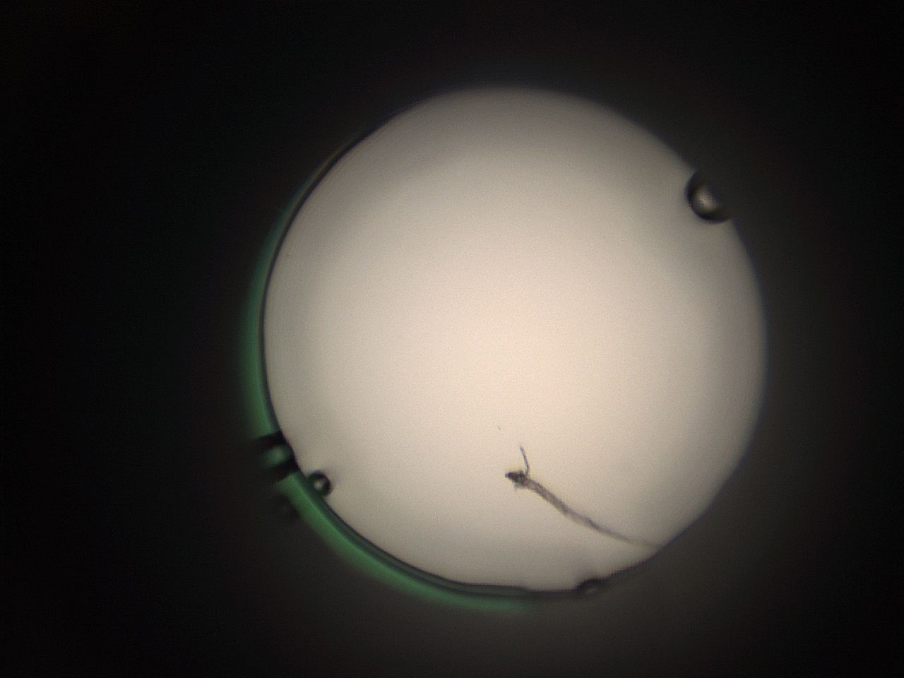 063q_D3_ImagerDefaults_1.jpg