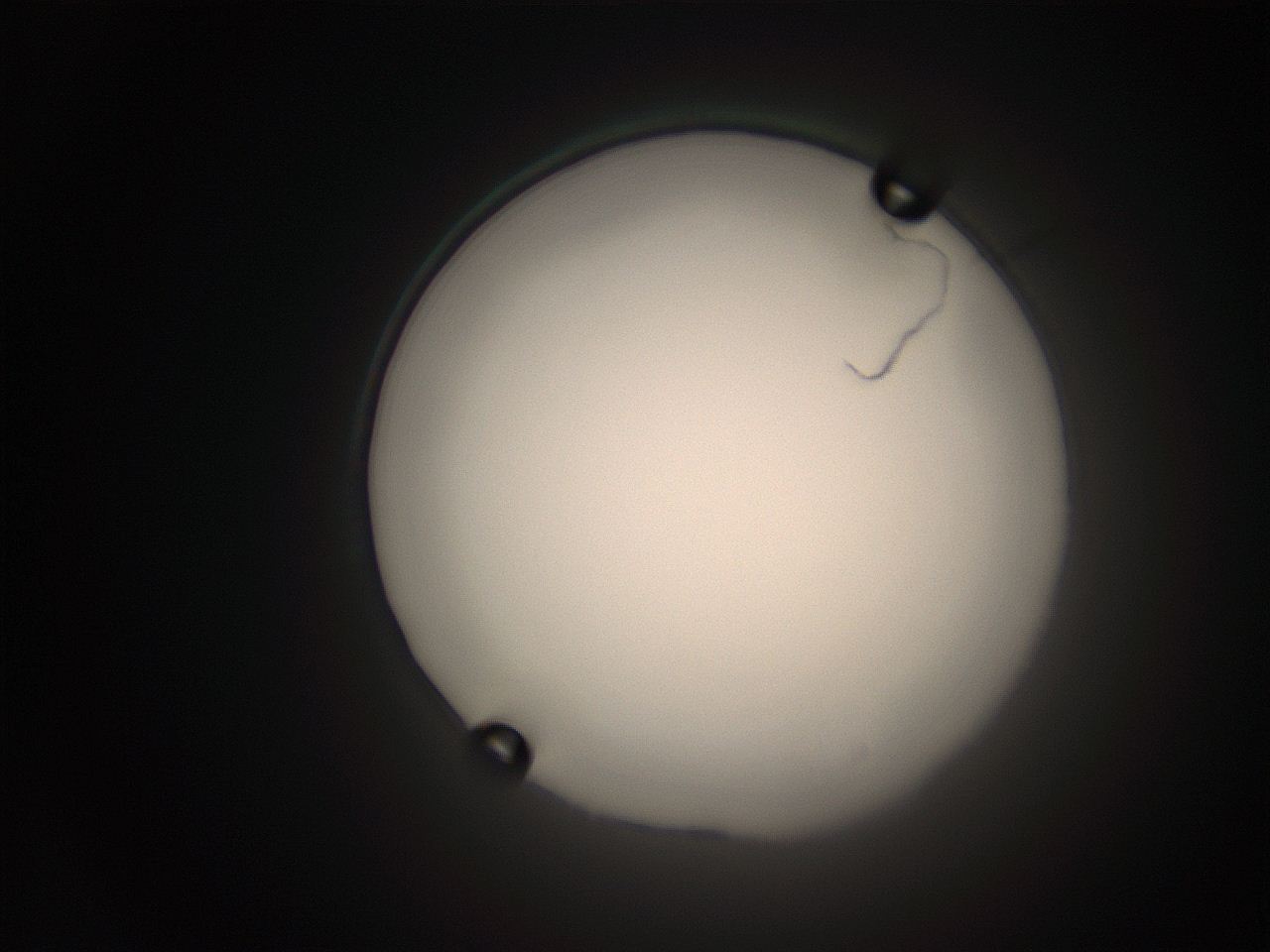 063q_F13_ImagerDefaults_1.jpg