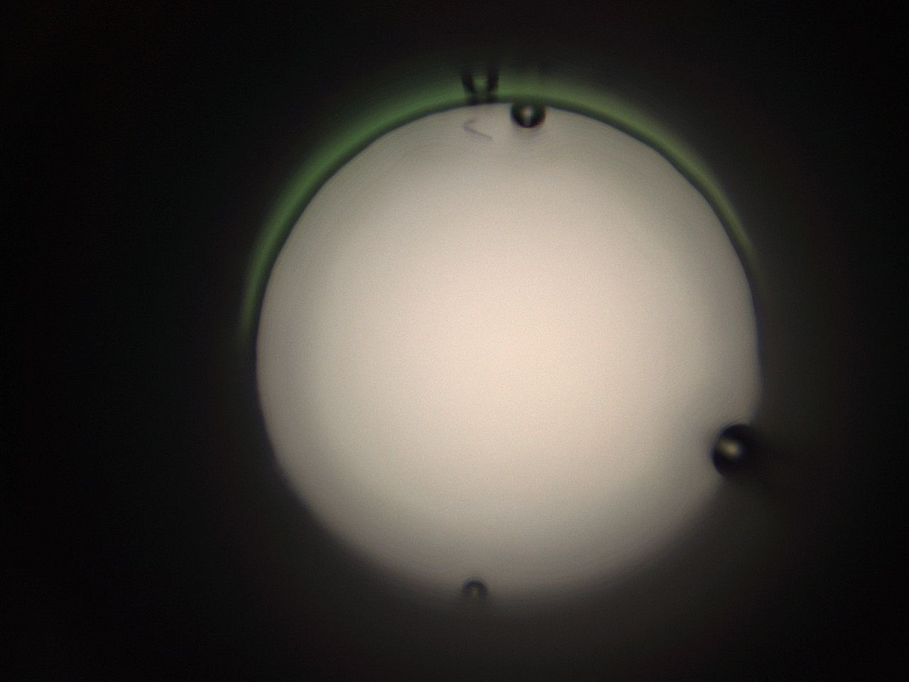 063q_F23_ImagerDefaults_1.jpg