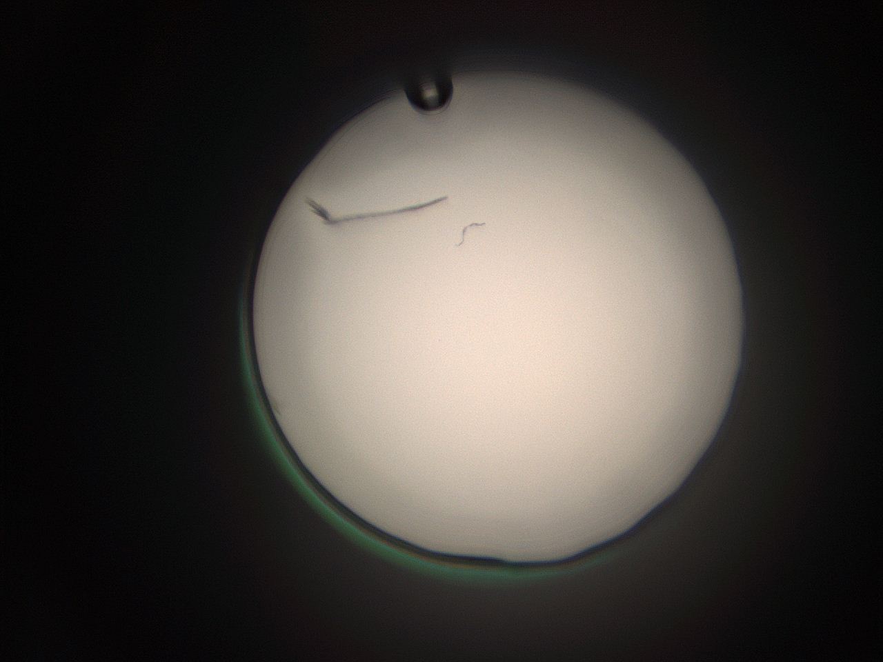 063q_K11_ImagerDefaults_1.jpg