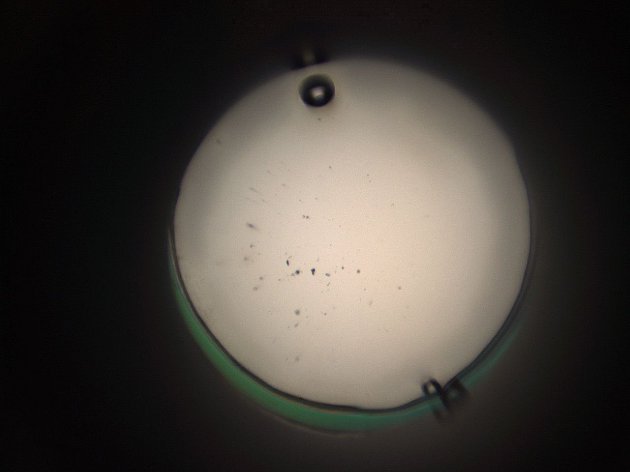 063q_L1_ImagerDefaults_9.jpg
