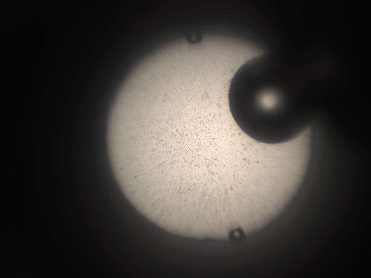 063q_L14_ImagerDefaults_9.jpg