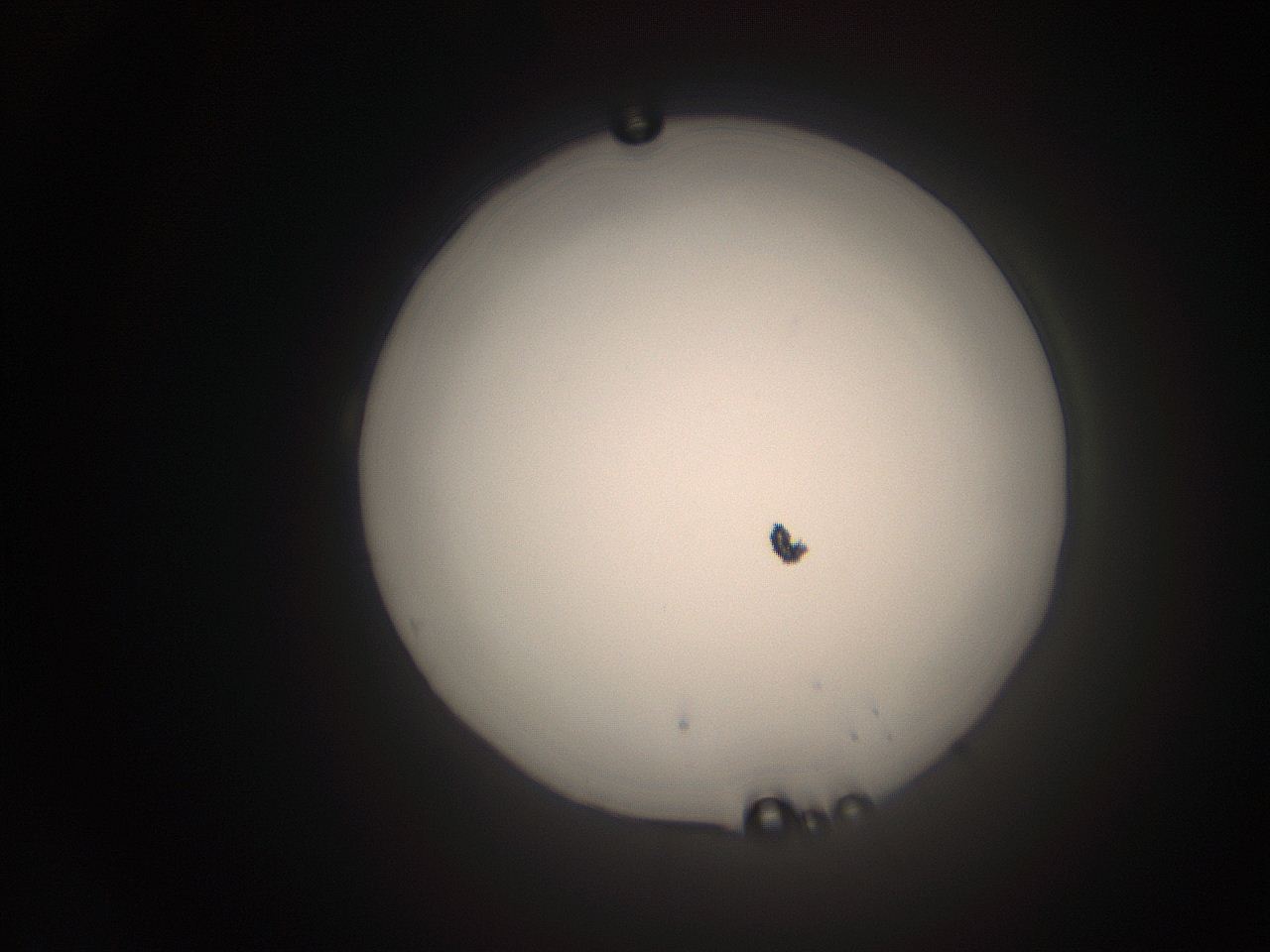 063q_L16_ImagerDefaults_1.jpg