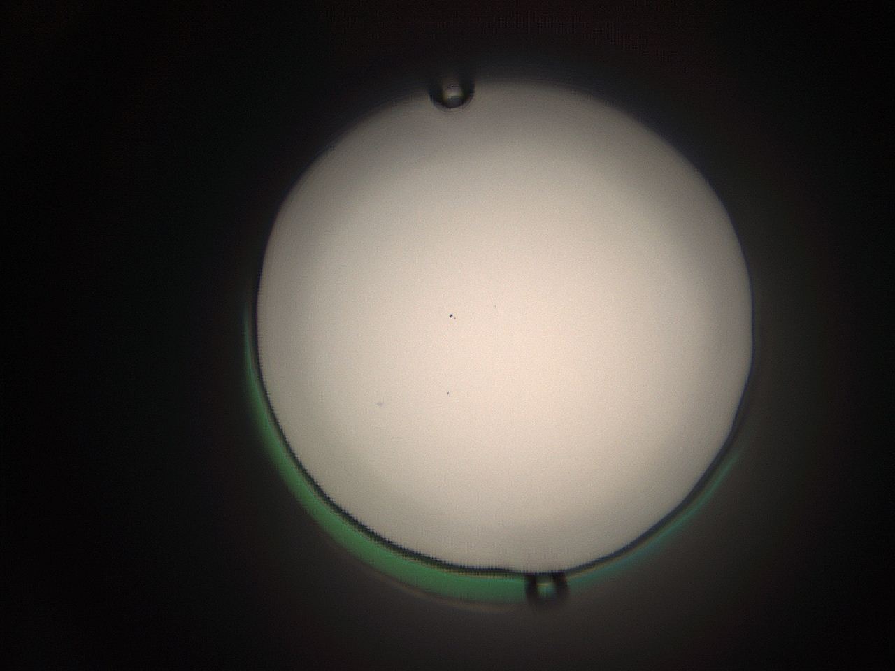 063q_N8_ImagerDefaults_1.jpg