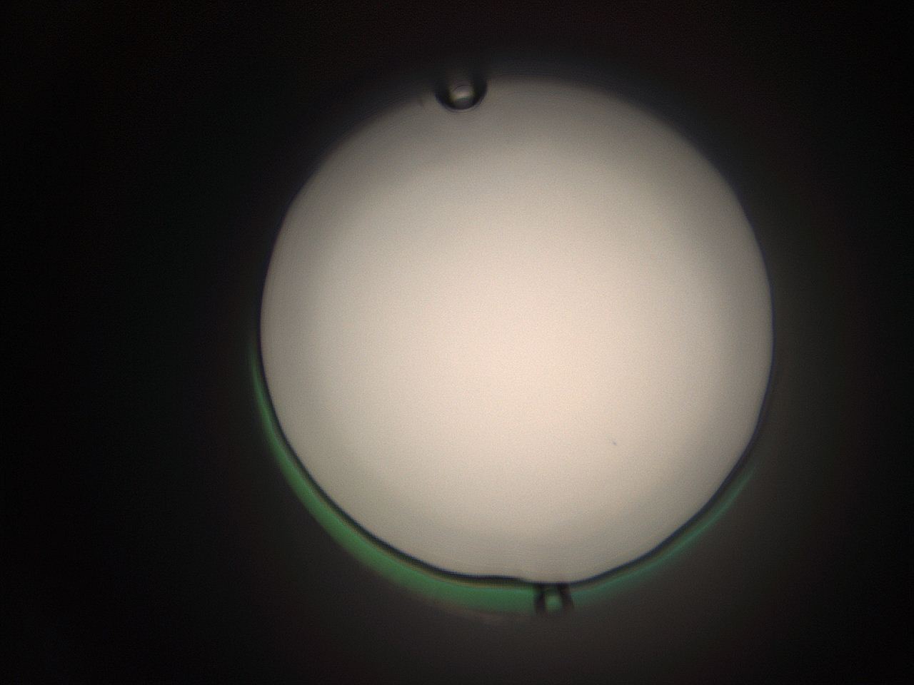 063q_N9_ImagerDefaults_1.jpg