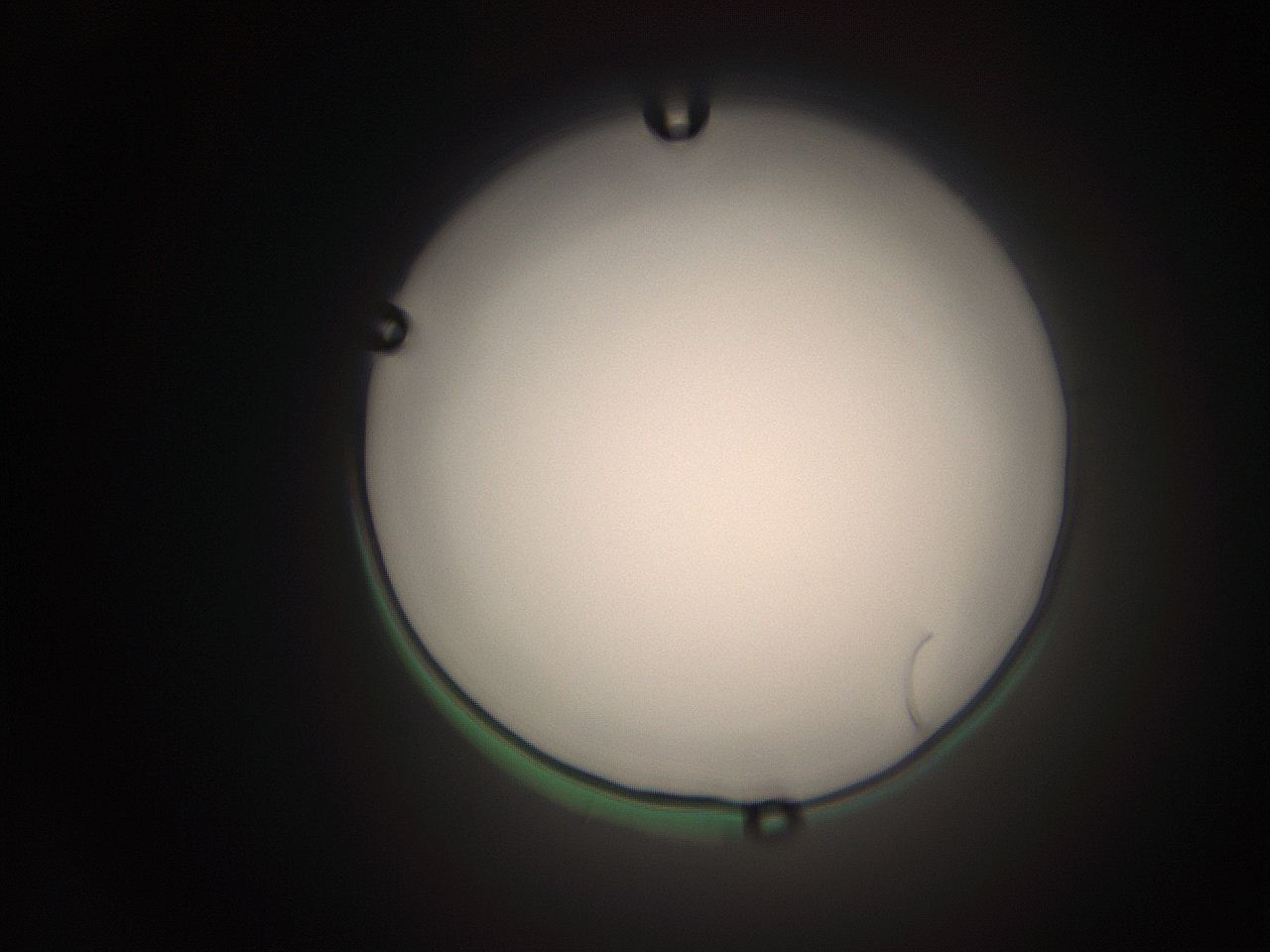 063q_O12_ImagerDefaults_1.jpg