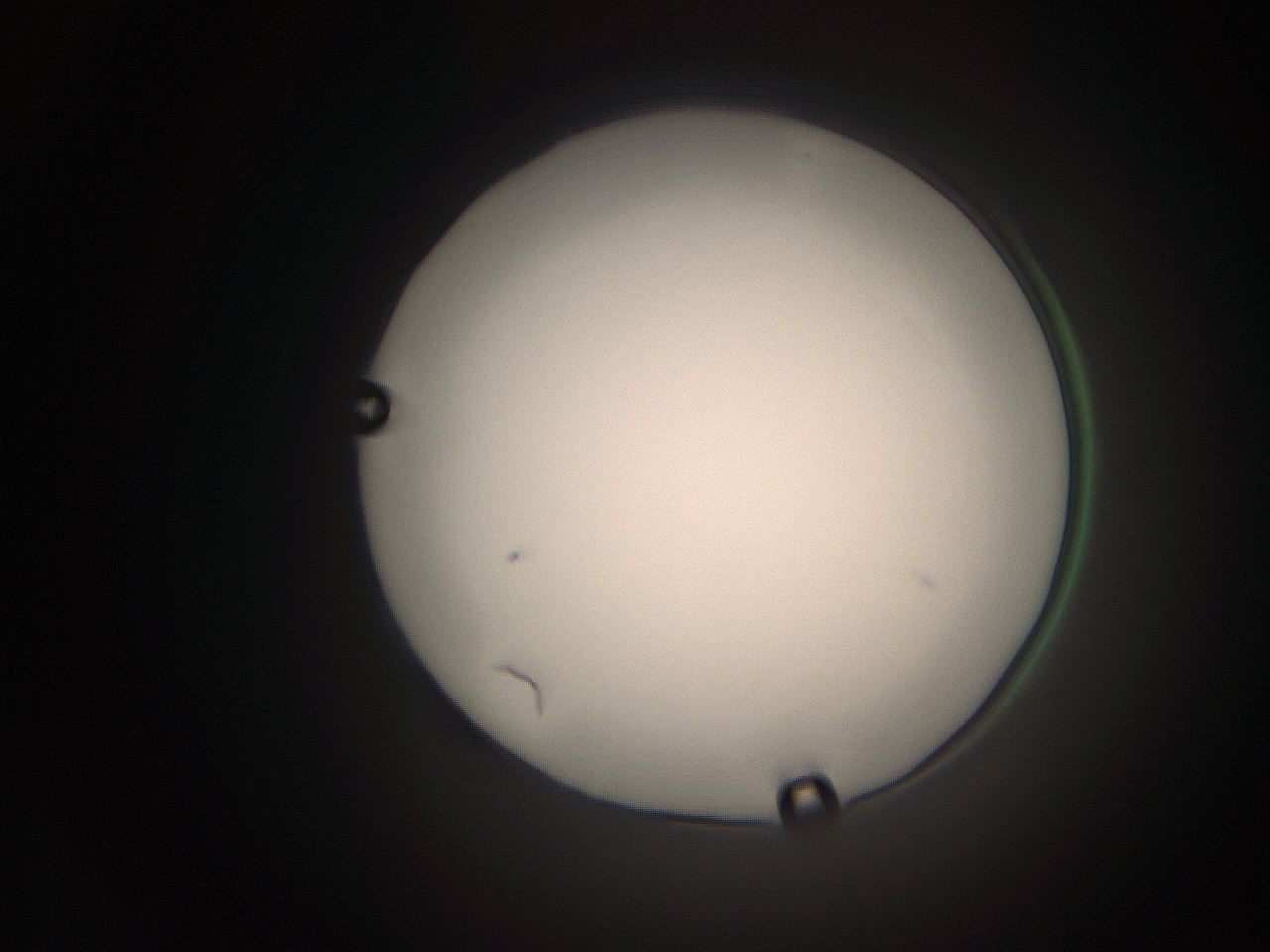 063q_O17_ImagerDefaults_1.jpg