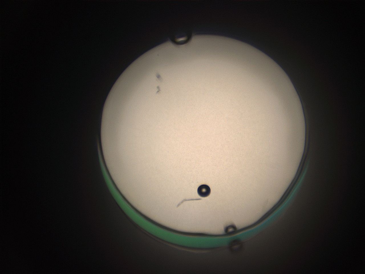 063q_P2_ImagerDefaults_9.jpg