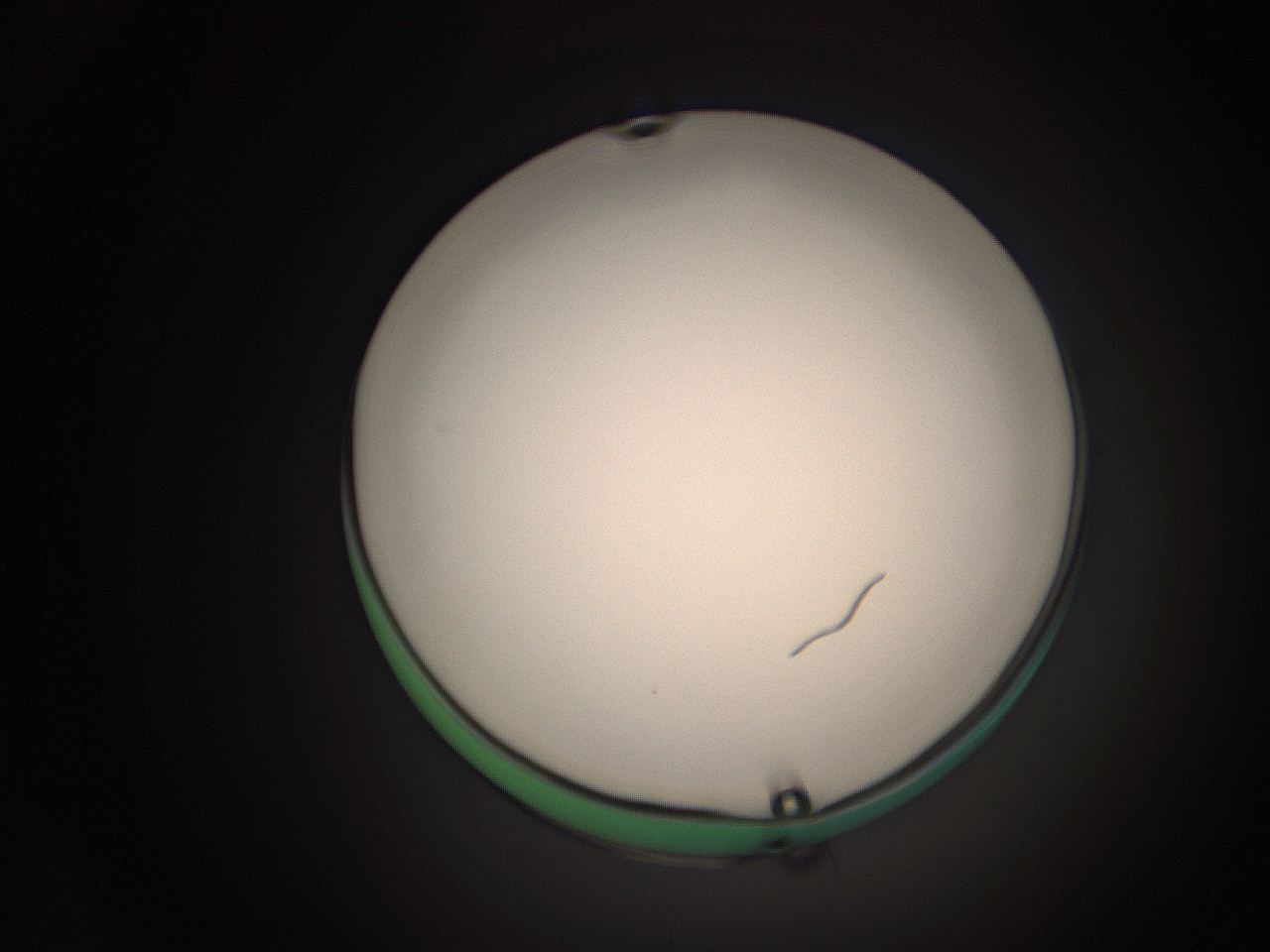063q_P5_ImagerDefaults_1.jpg