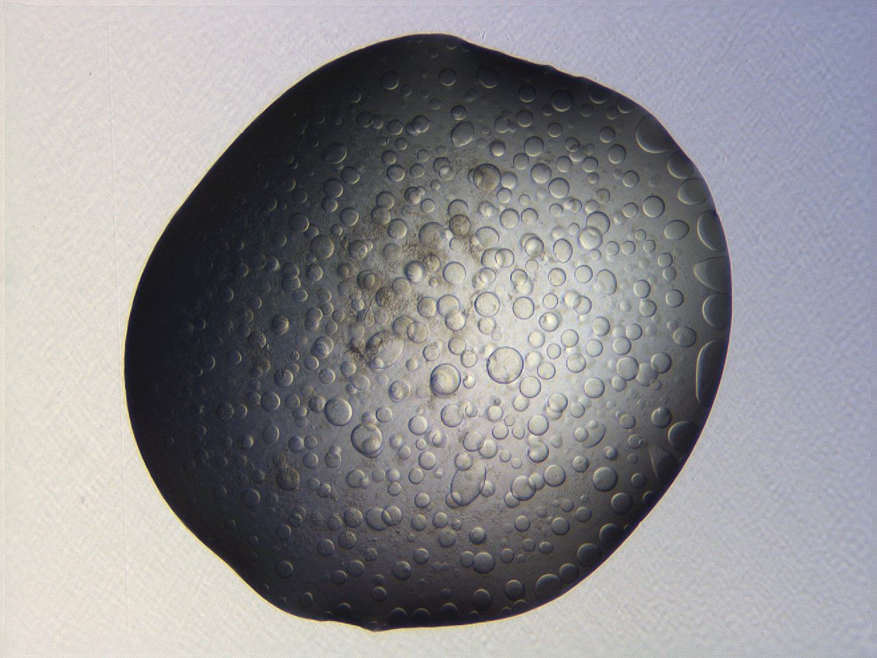 063r_B4_ImagerDefaults_3.jpg