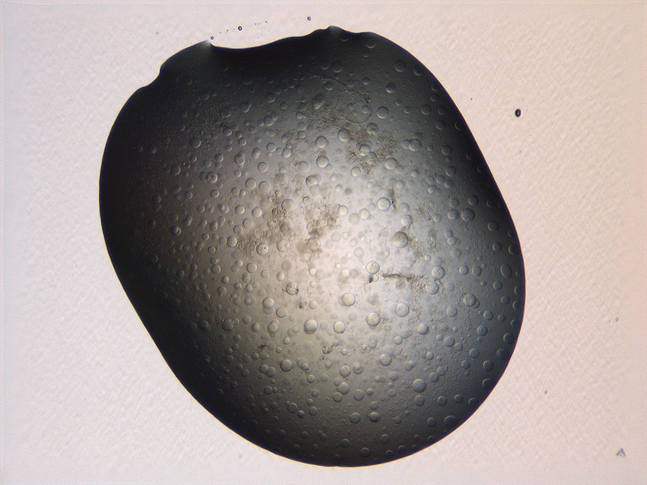 063r_B2_ImagerDefaults_3.jpg