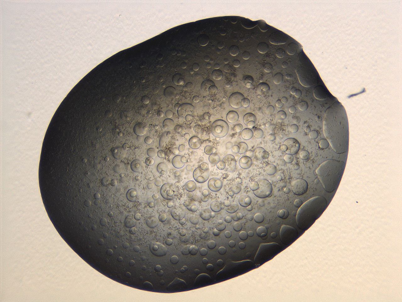 063r_B1_ImagerDefaults_3.jpg