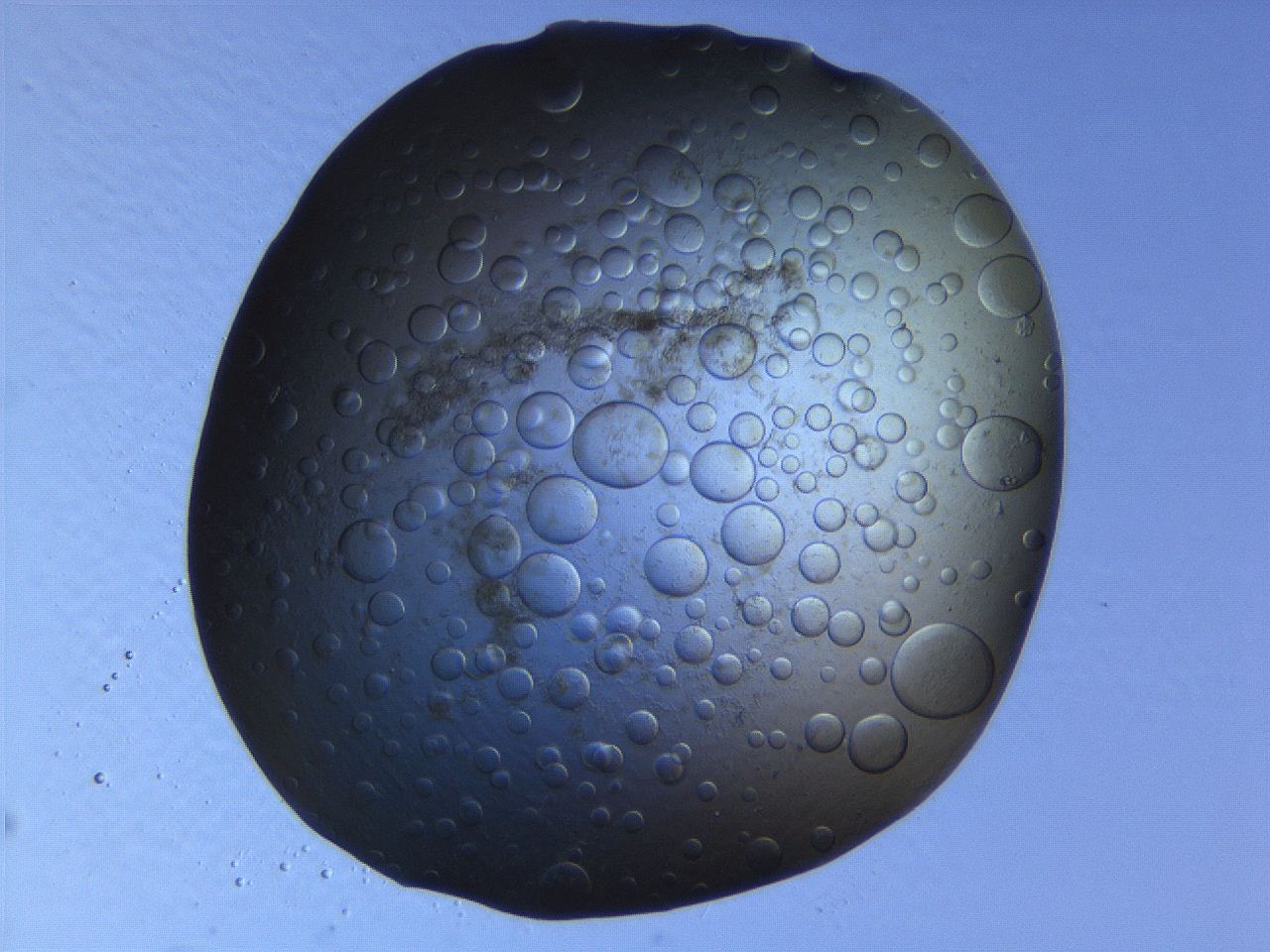 063r_B6_ImagerDefaults_3.jpg