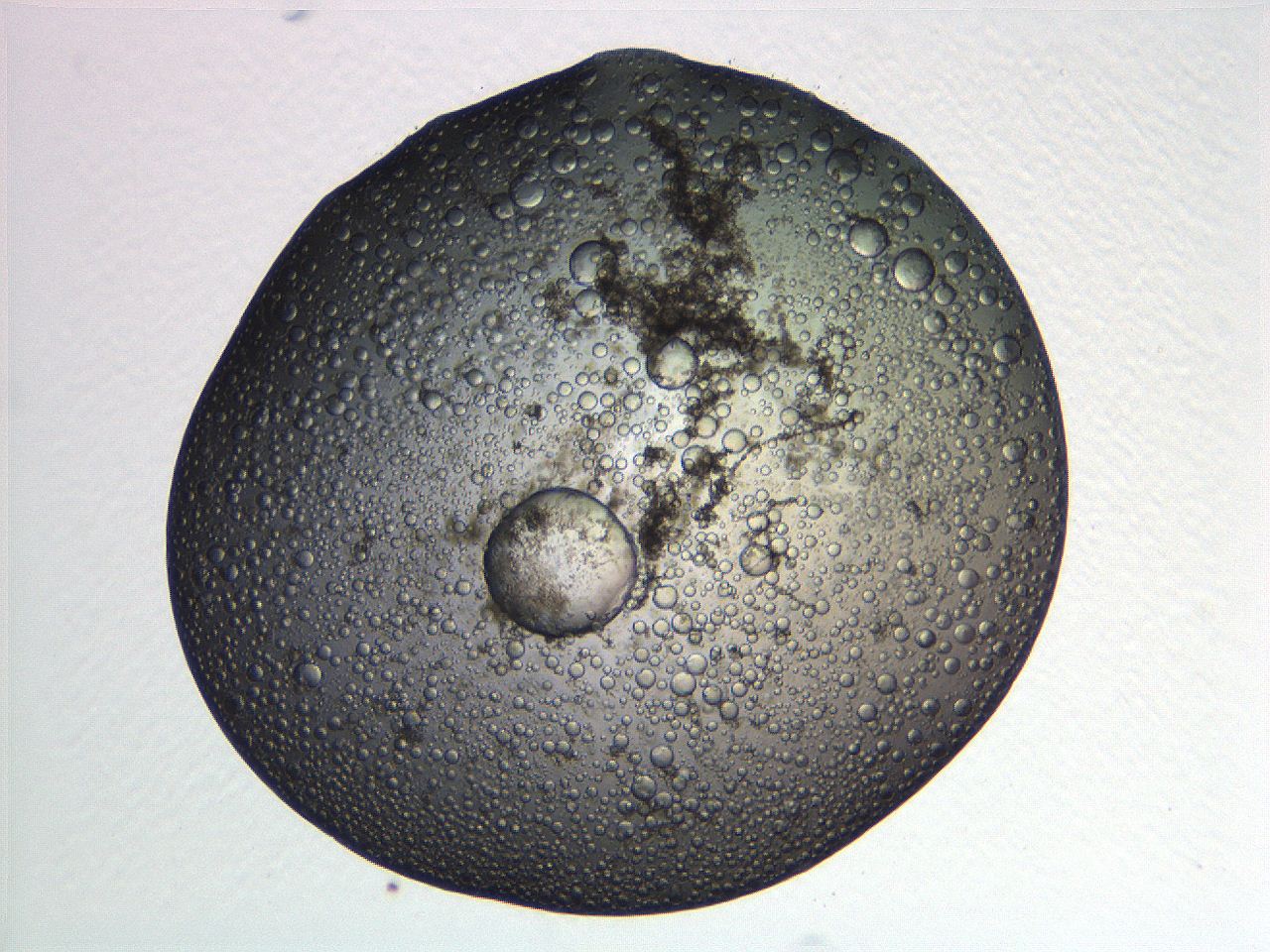 063r_B9_ImagerDefaults_3.jpg