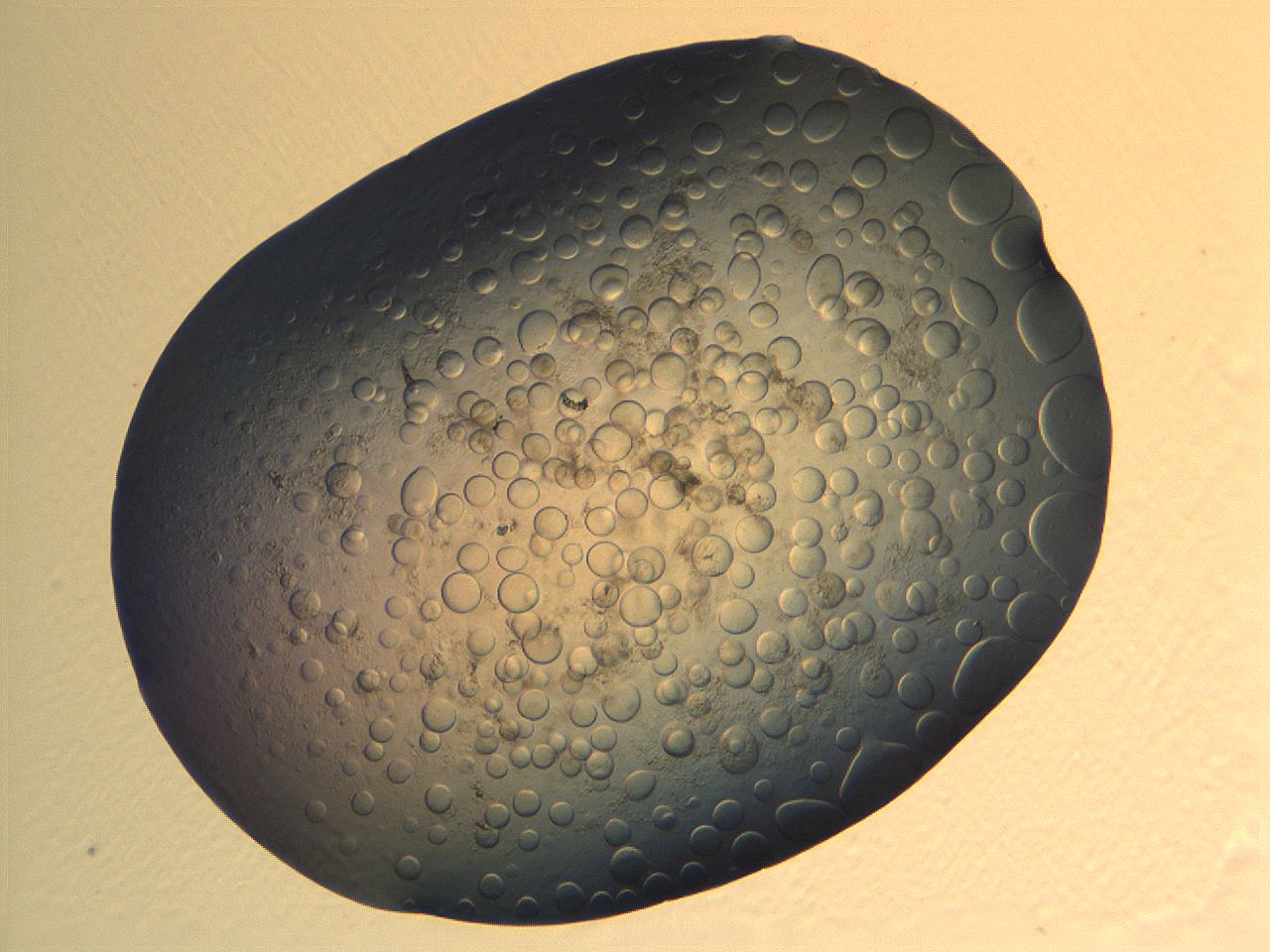 063r_A1_ImagerDefaults_5.jpg