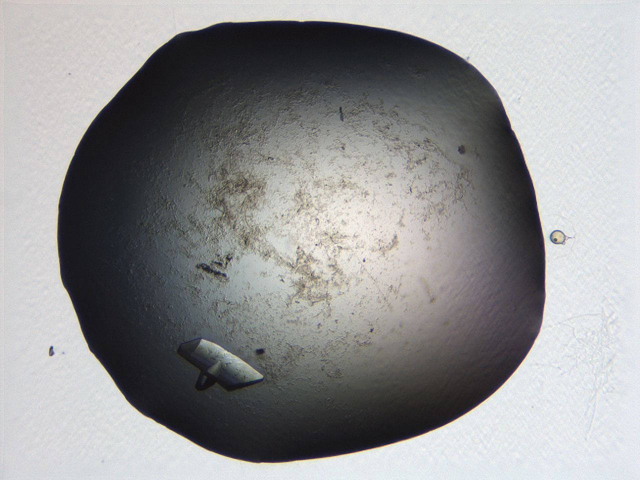 063r_A12_ImagerDefaults_3.jpg