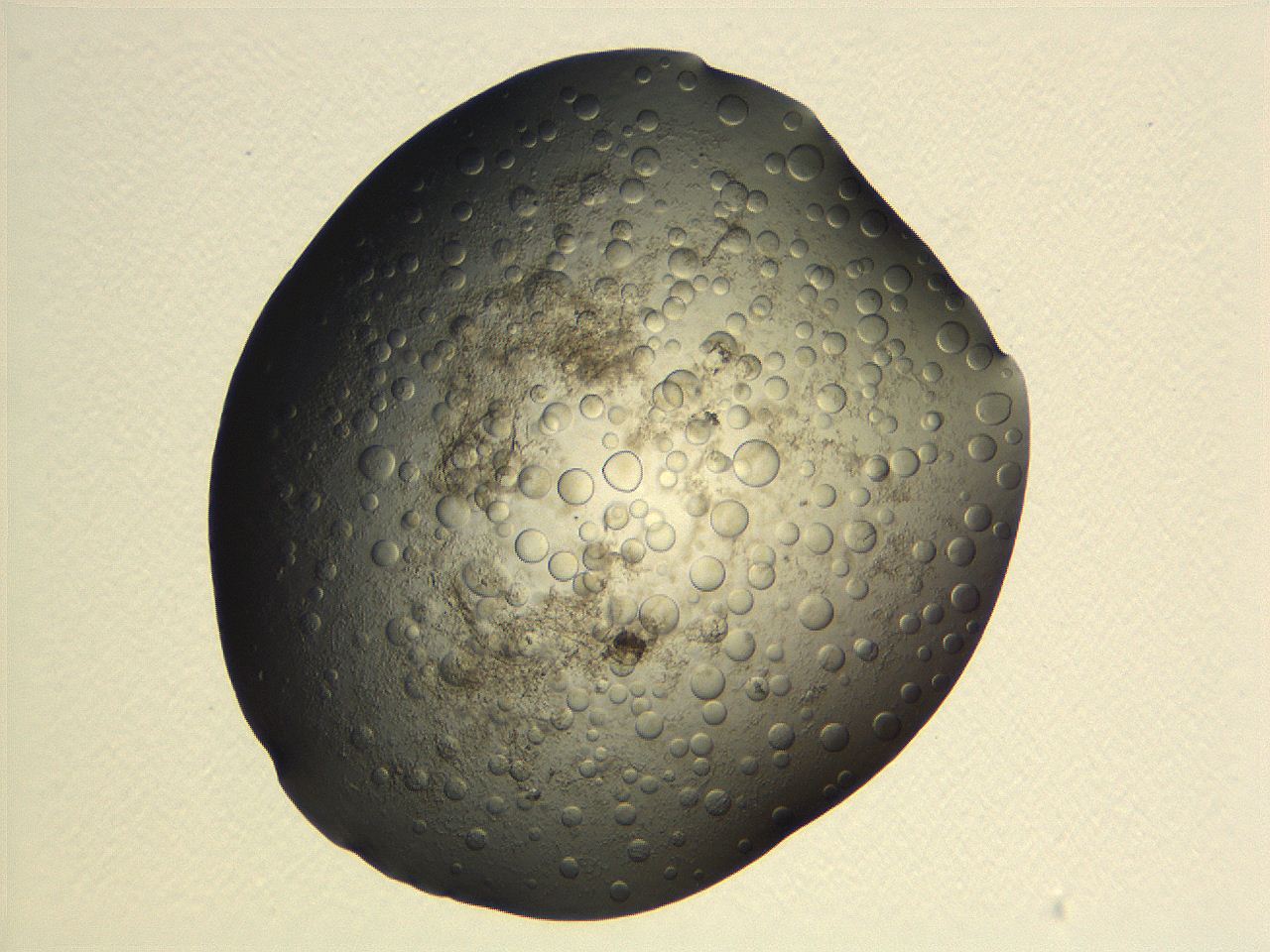063r_A11_ImagerDefaults_3.jpg