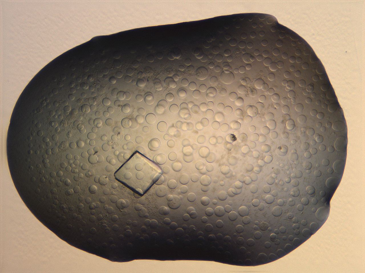 063r_B12_ImagerDefaults_5.jpg