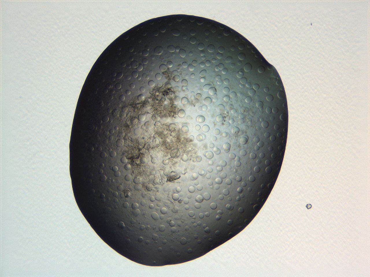 063r_A10_ImagerDefaults_5.jpg