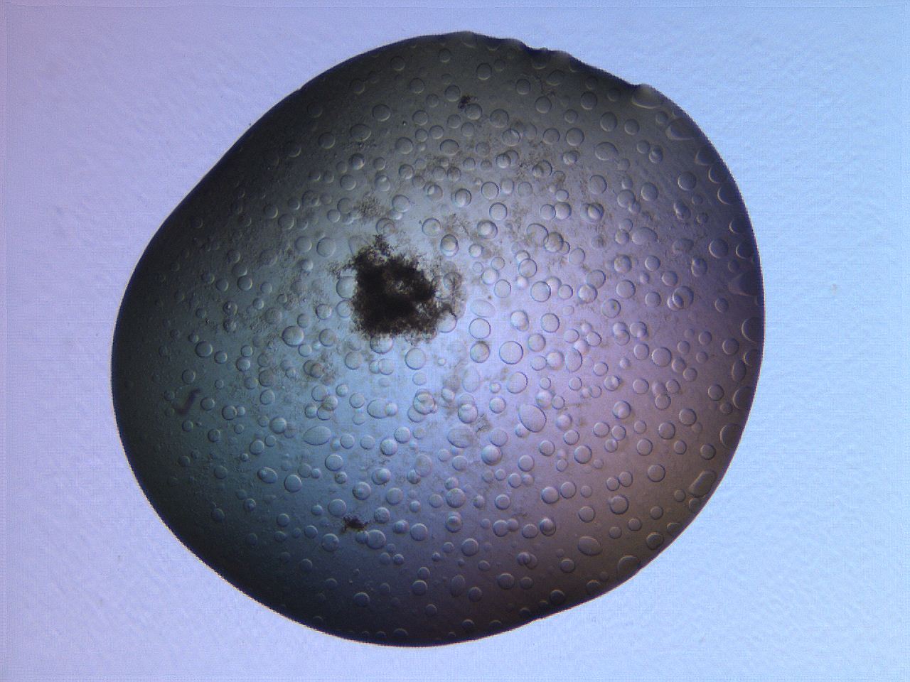 063r_B5_ImagerDefaults_3.jpg