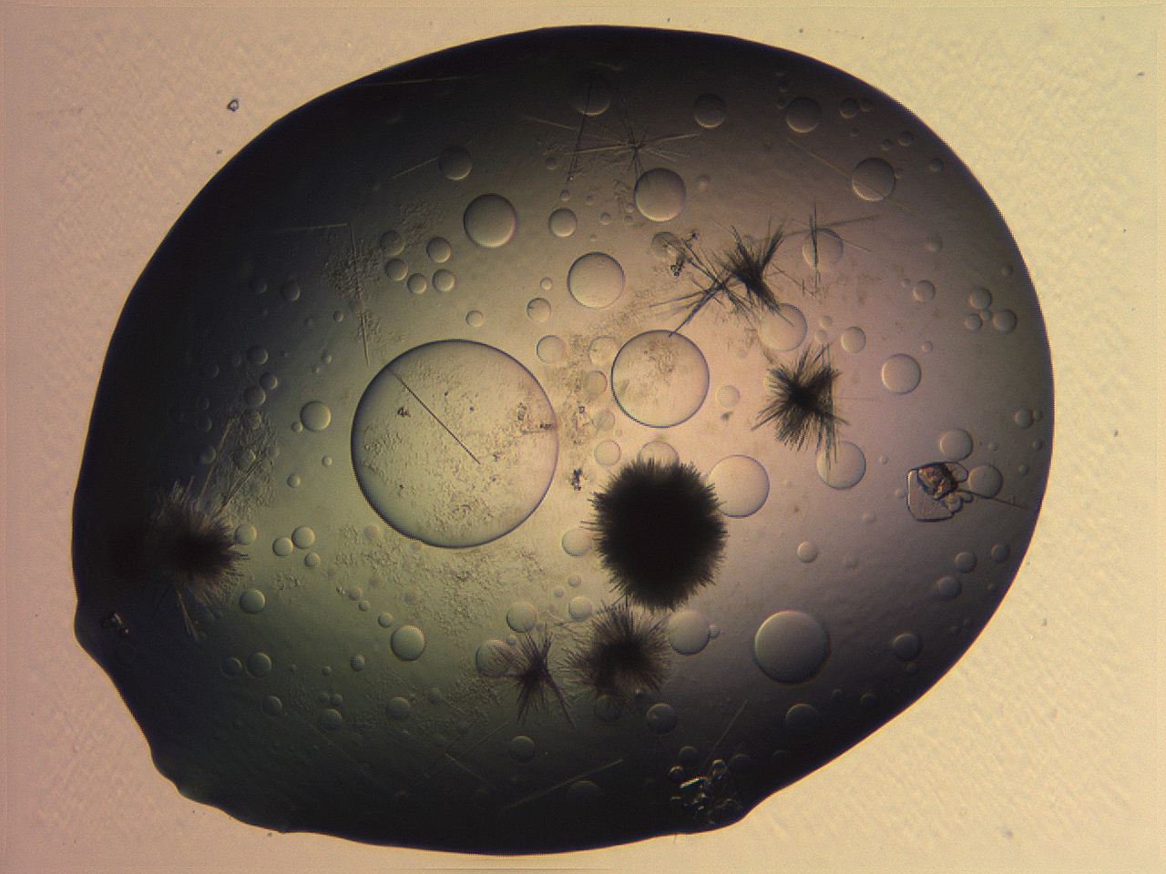 063r_D12_ImagerDefaults_7.jpg