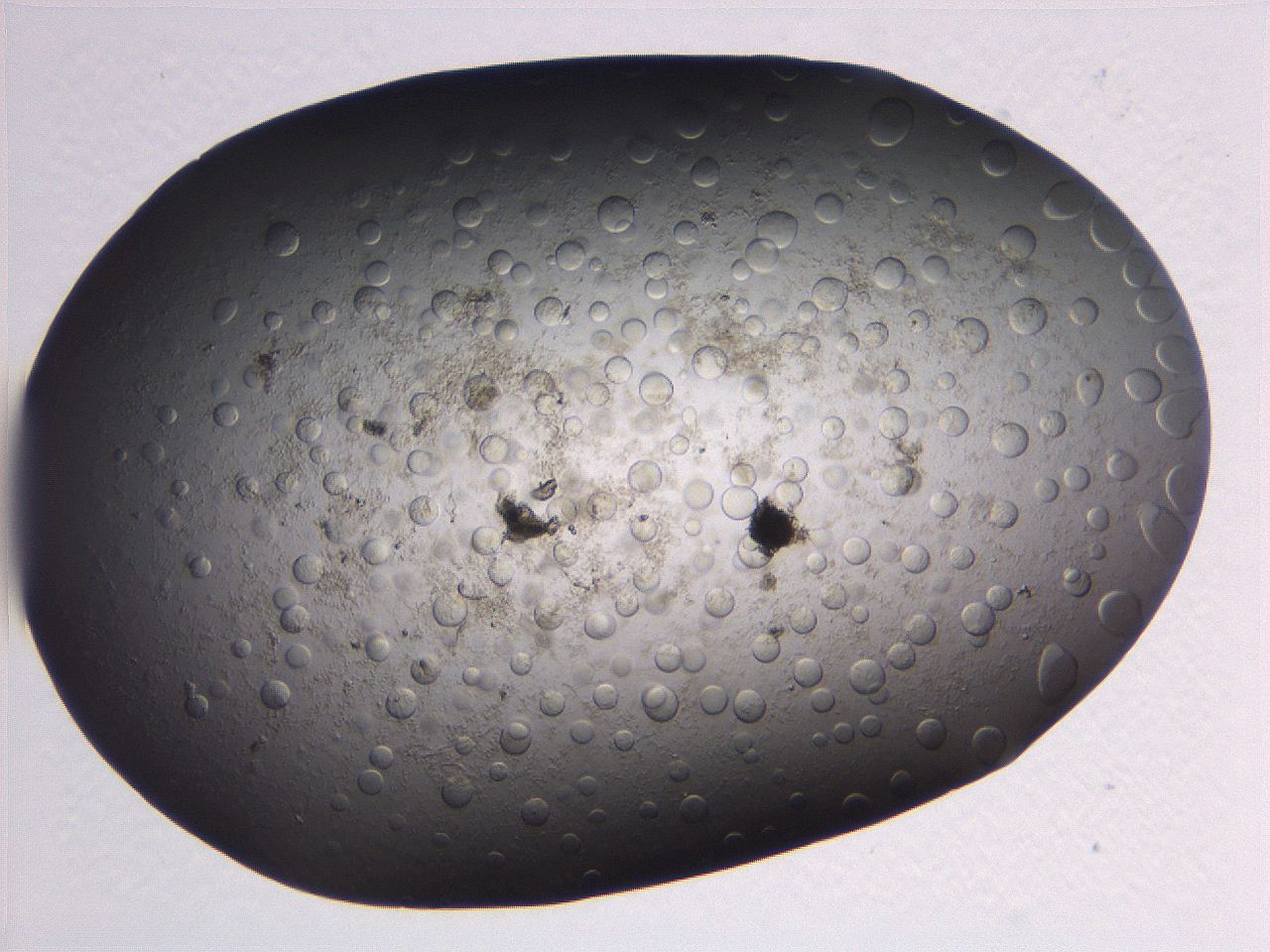063r_E11_ImagerDefaults_5.jpg