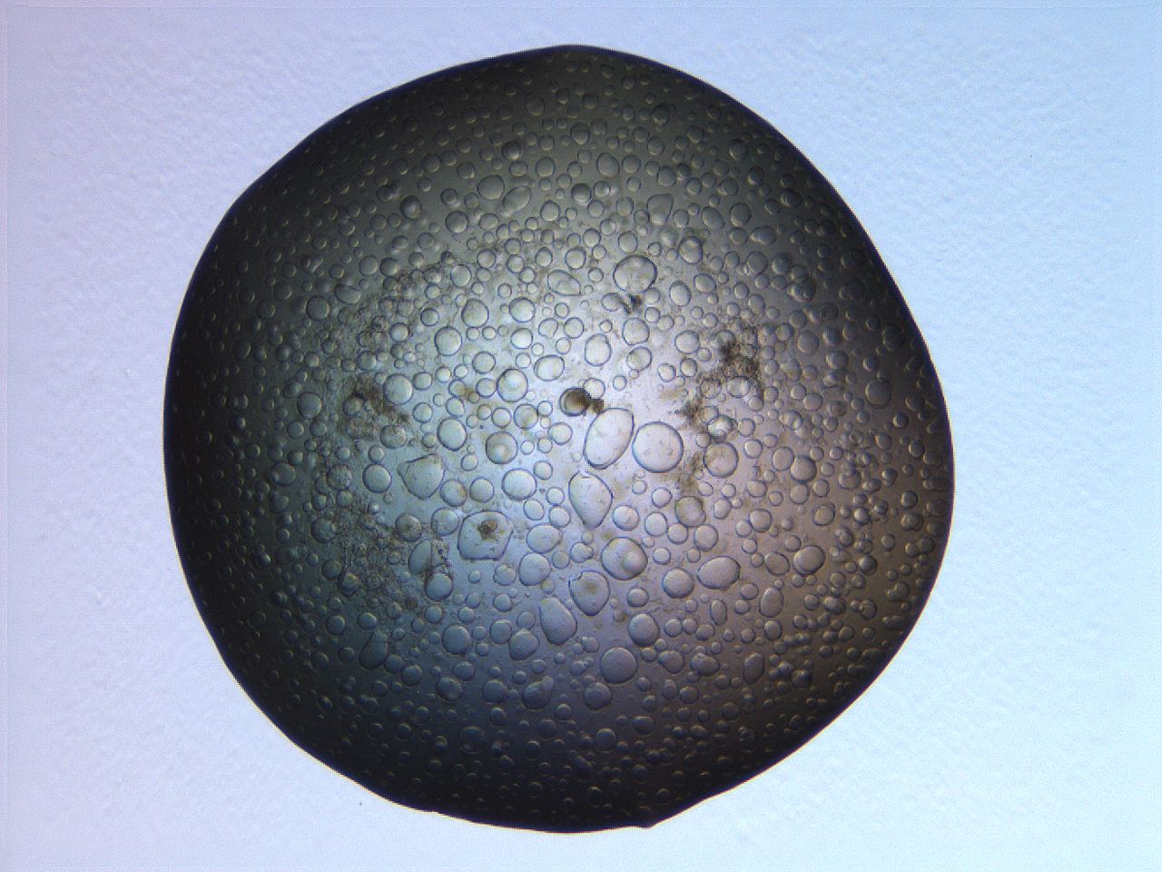063r_B11_ImagerDefaults_3.jpg