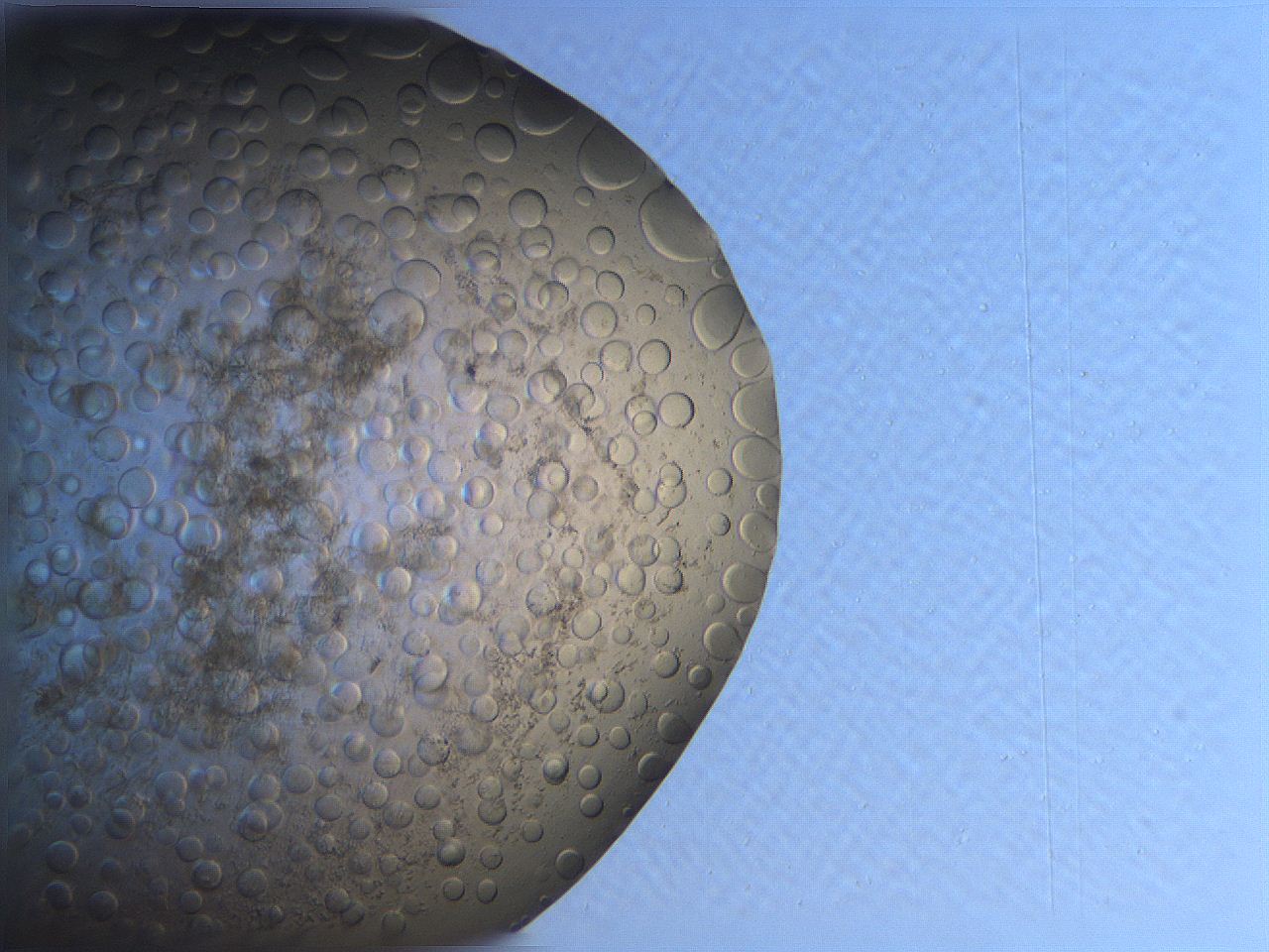063r_A7_ImagerDefaults_3.jpg