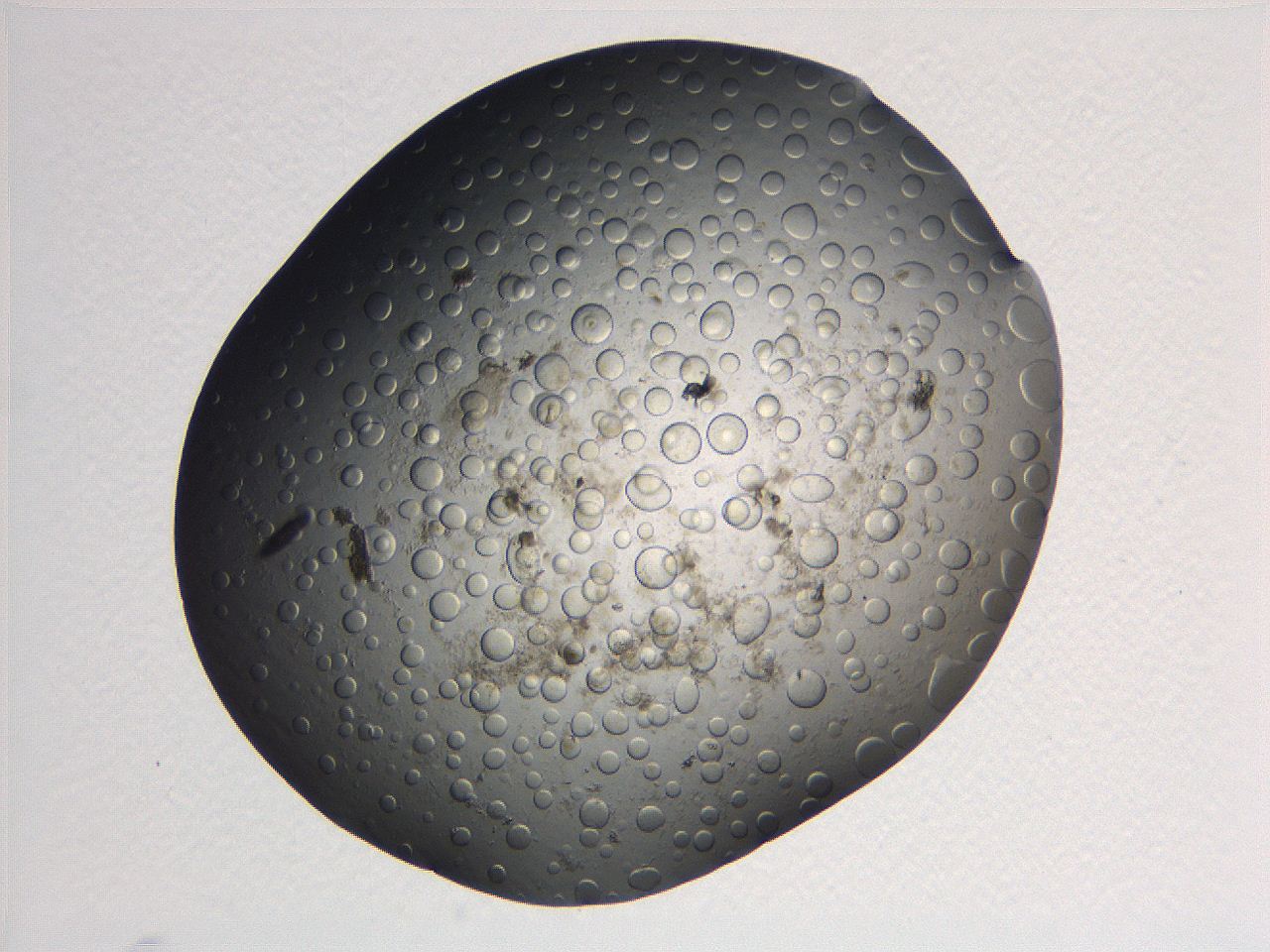 063r_F5_ImagerDefaults_5.jpg