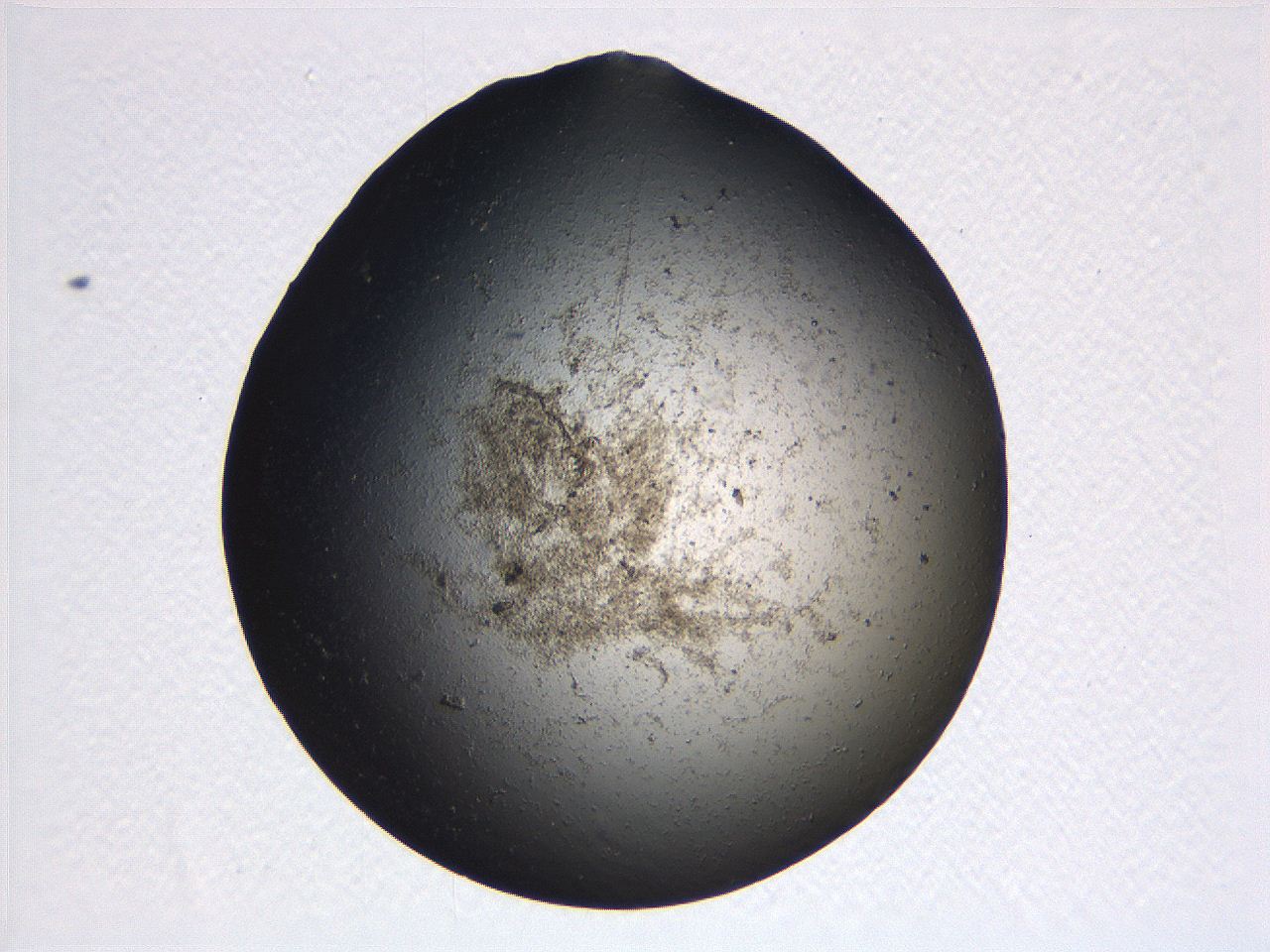 063r_F9_ImagerDefaults_3.jpg
