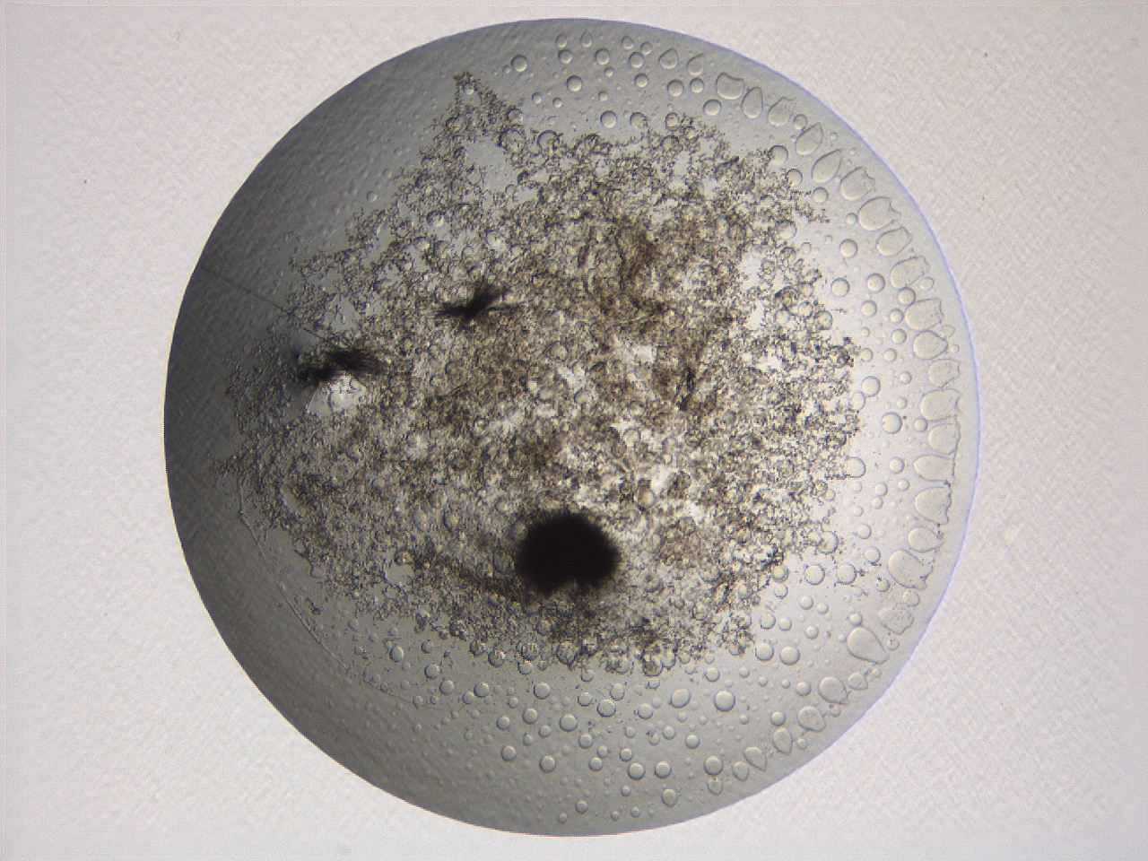 063r_F11_ImagerDefaults_2.jpg