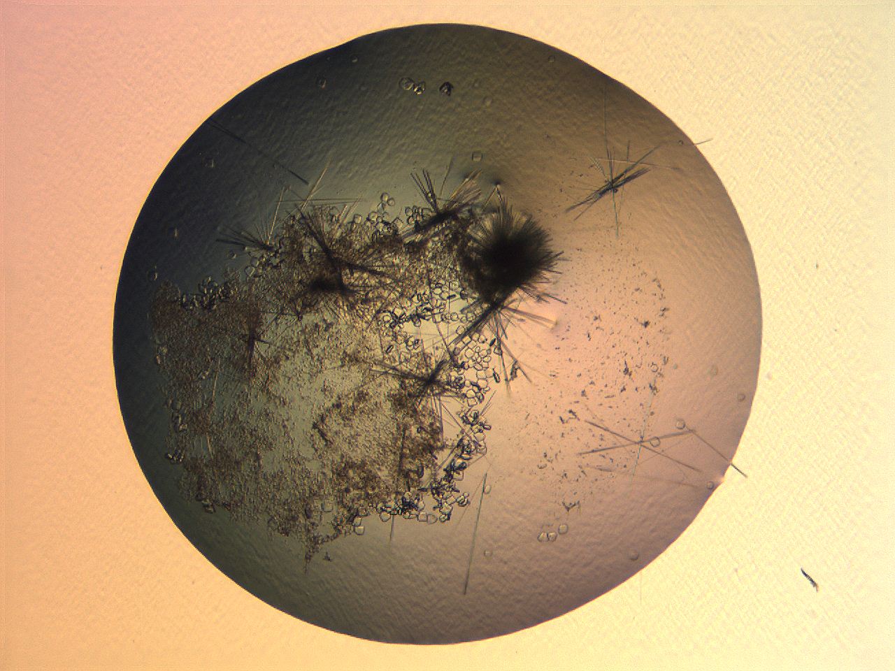 063r_F12_ImagerDefaults_7.jpg