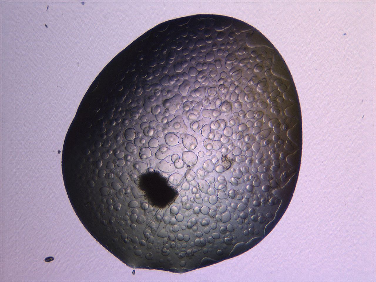 063r_G1_ImagerDefaults_7.jpg
