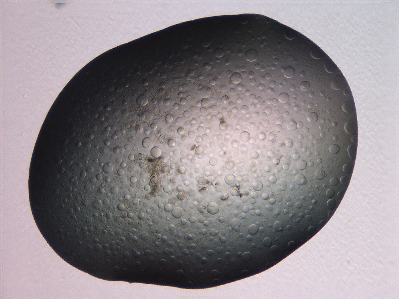 063r_C2_ImagerDefaults_5.jpg