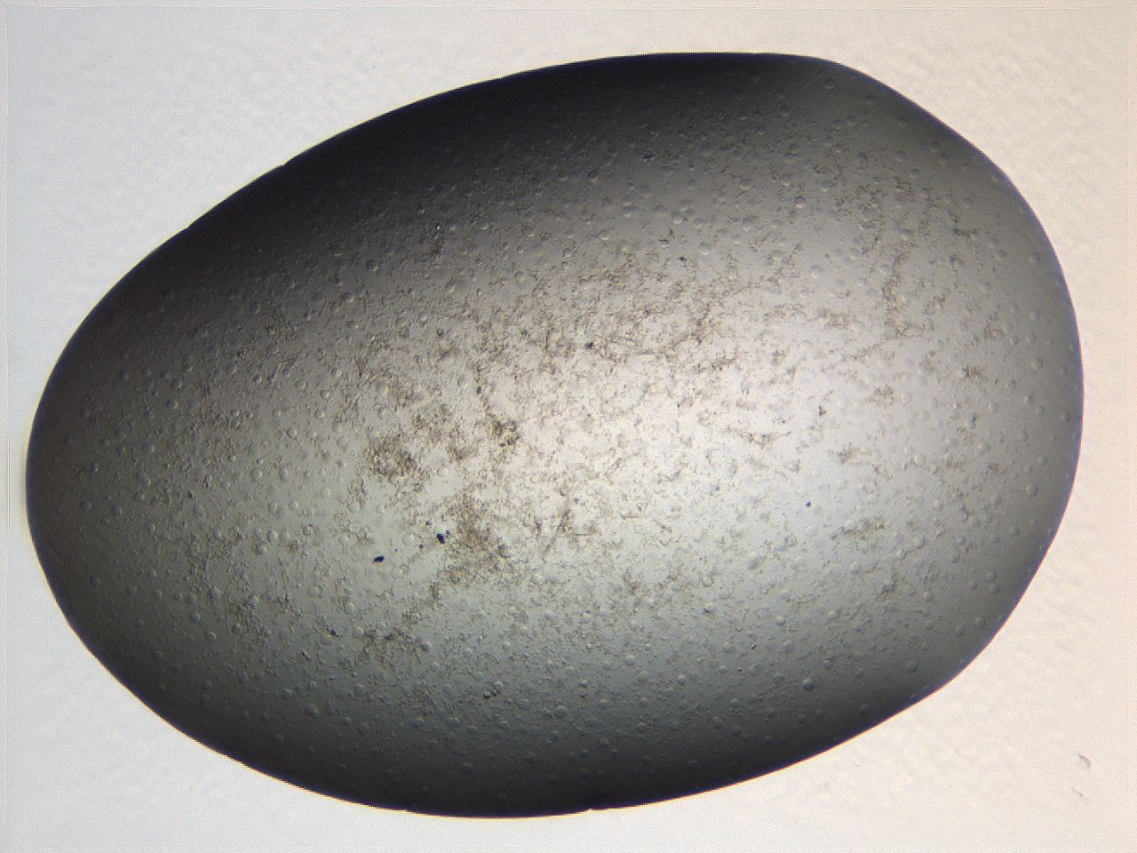 063r_C5_ImagerDefaults_3.jpg