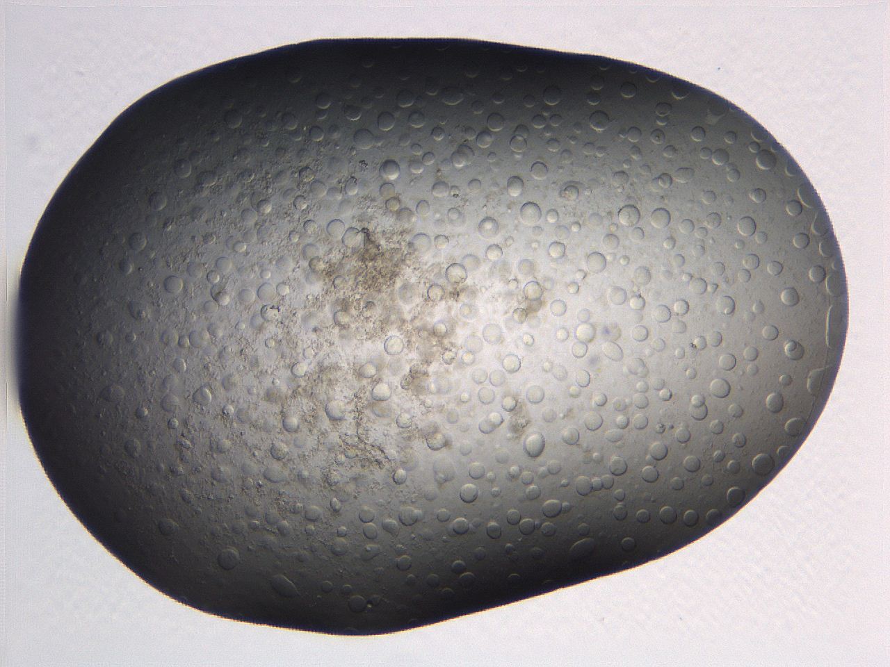 063r_C10_ImagerDefaults_5.jpg
