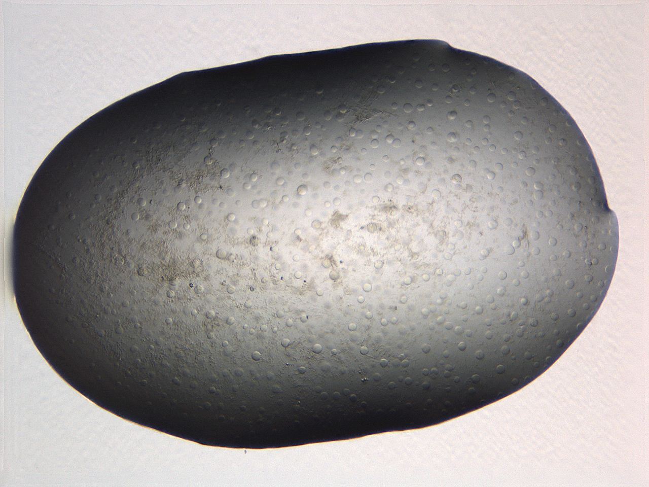 063r_C11_ImagerDefaults_5.jpg