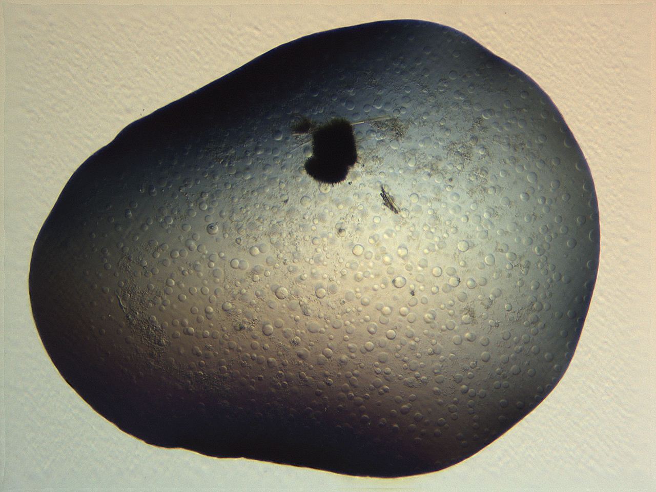 063r_C12_ImagerDefaults_5.jpg