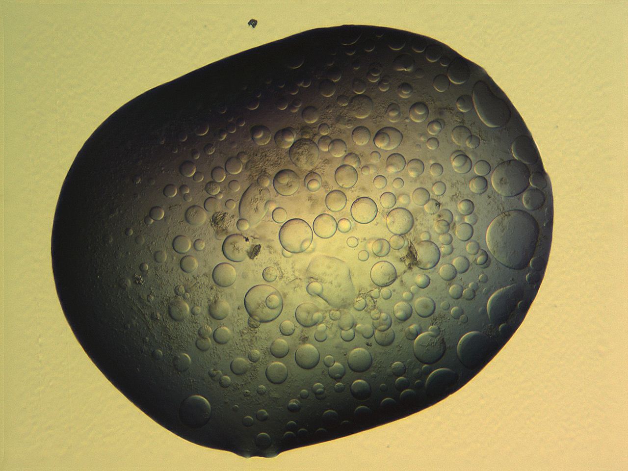 063r_D1_ImagerDefaults_5.jpg