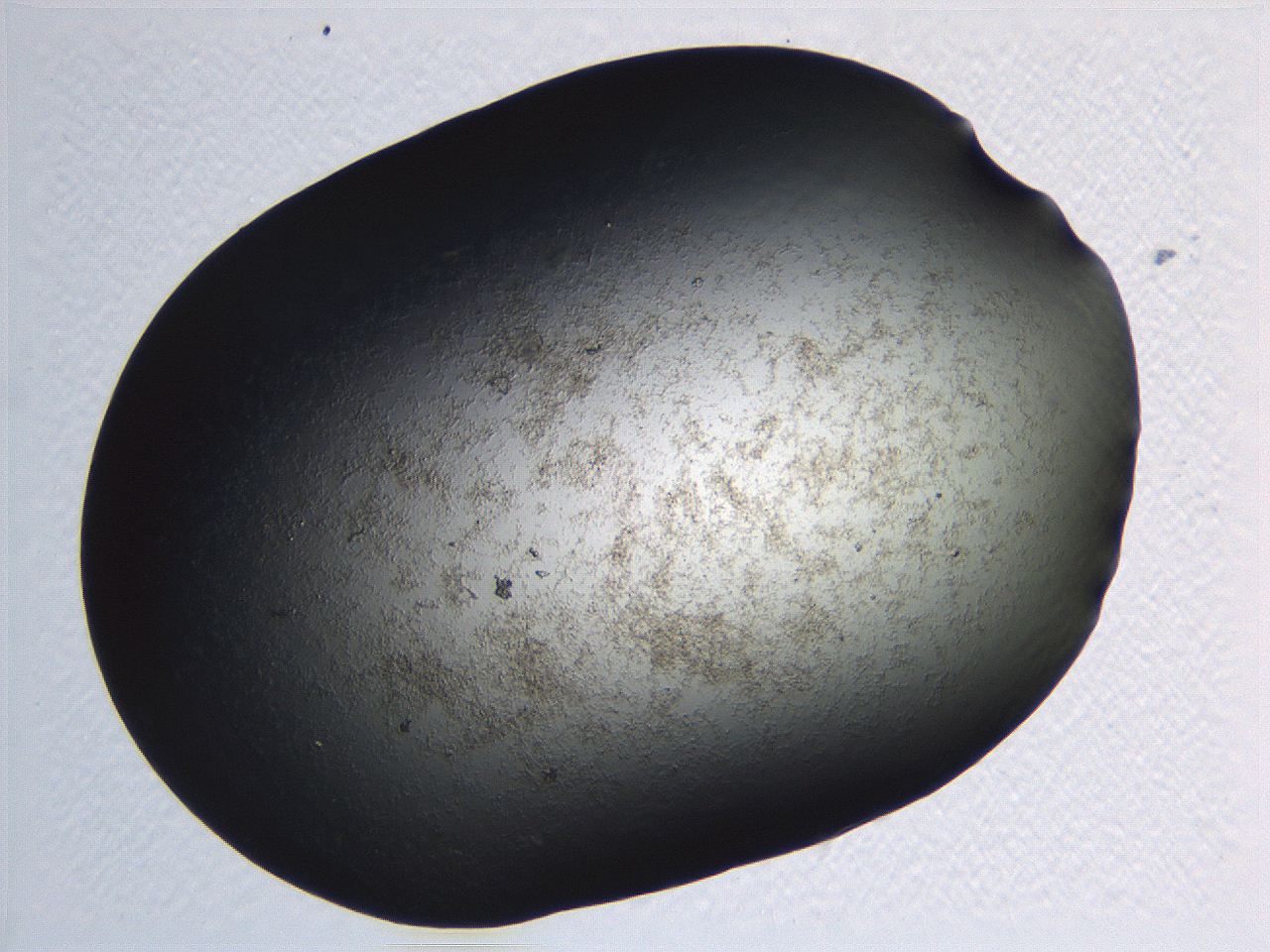 063r_G3_ImagerDefaults_3.jpg