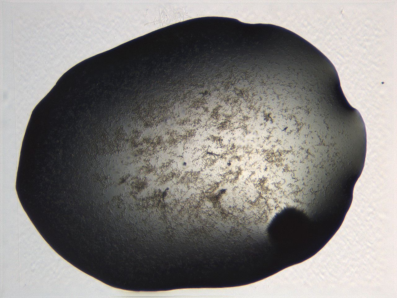 063r_G6_ImagerDefaults_3.jpg
