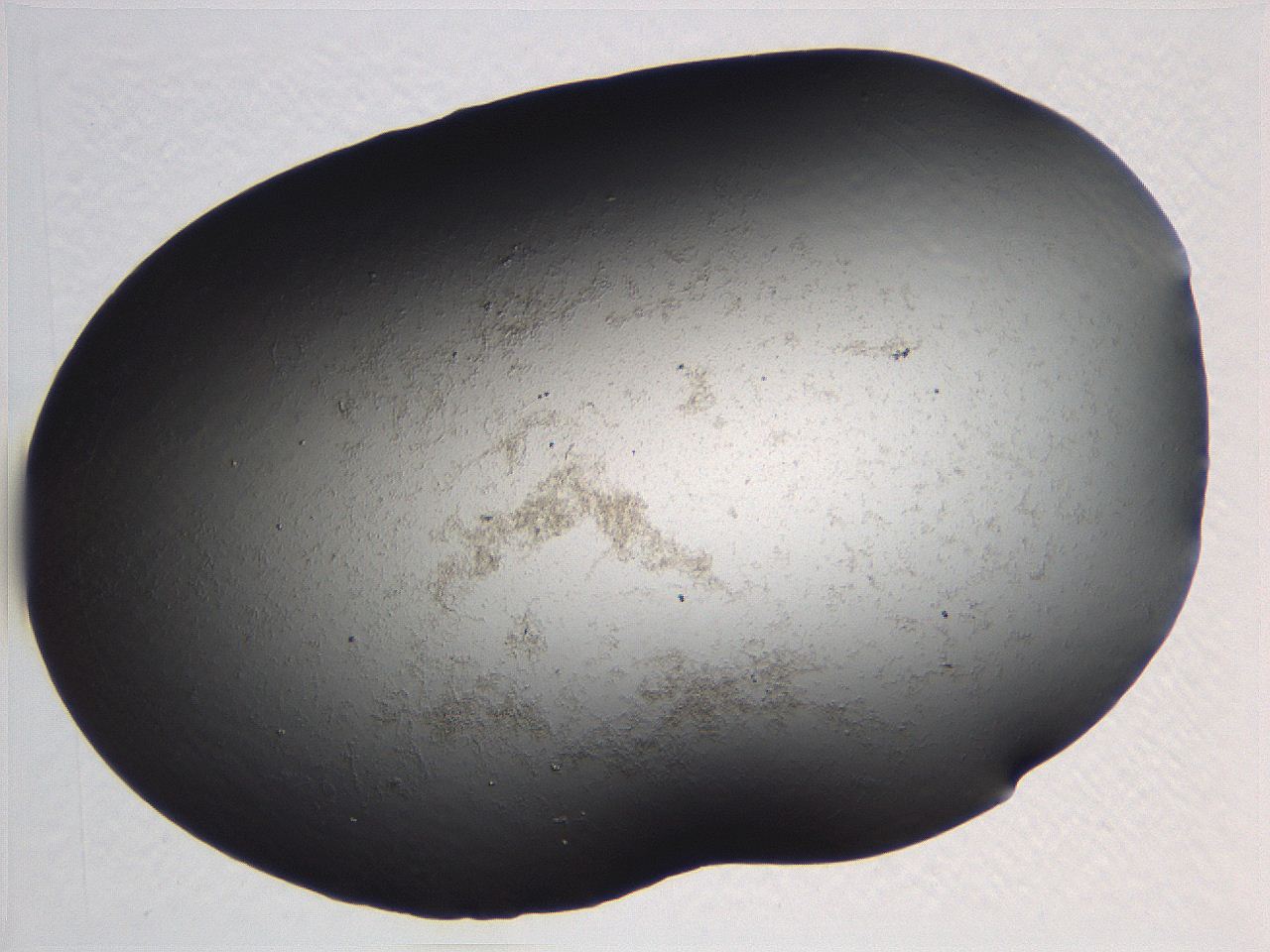 063r_G7_ImagerDefaults_0.jpg