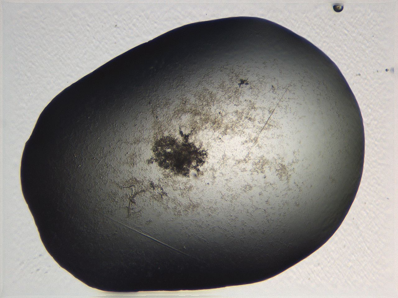 063r_G10_ImagerDefaults_7.jpg