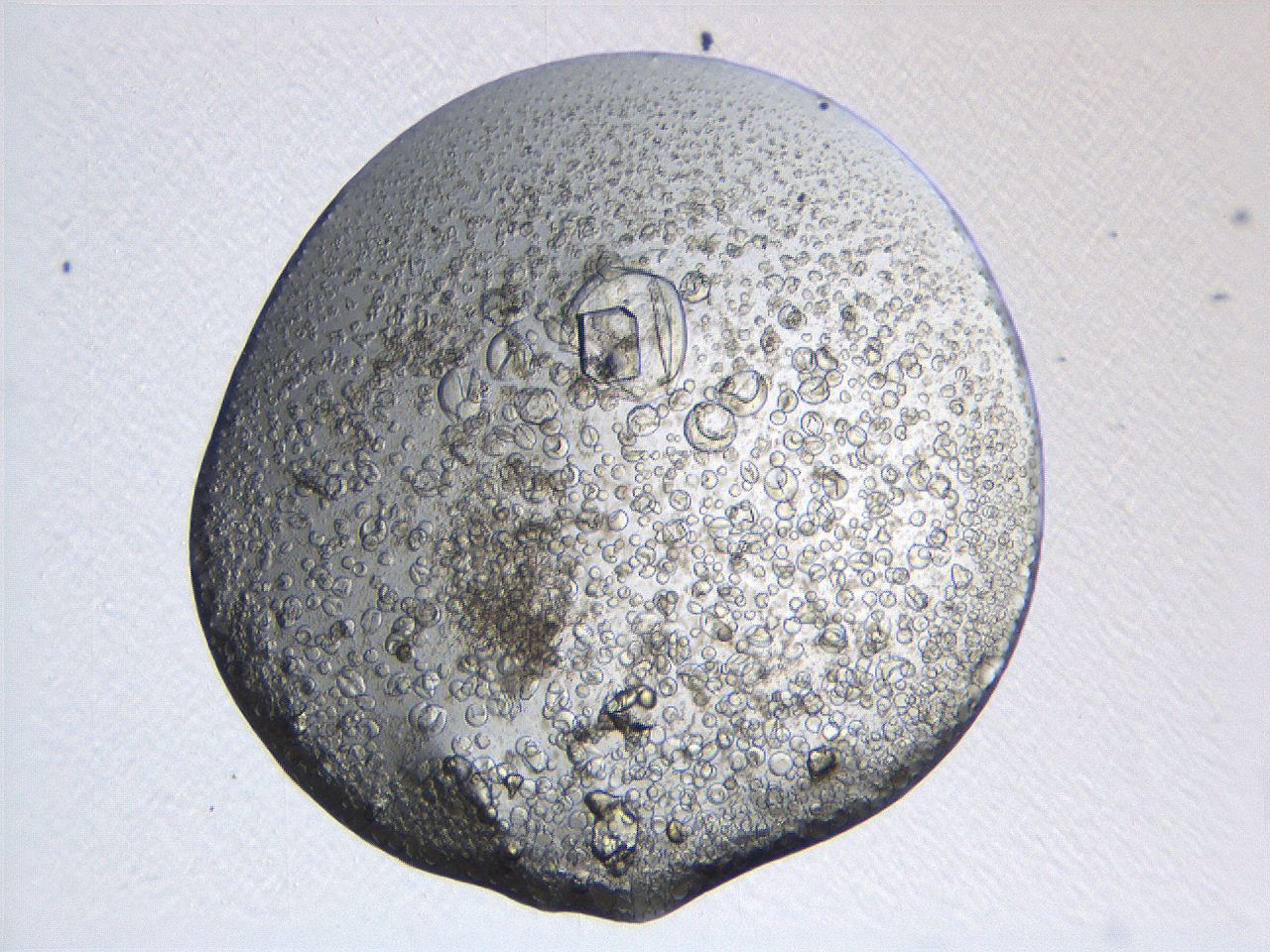 063r_H5_ImagerDefaults_5.jpg
