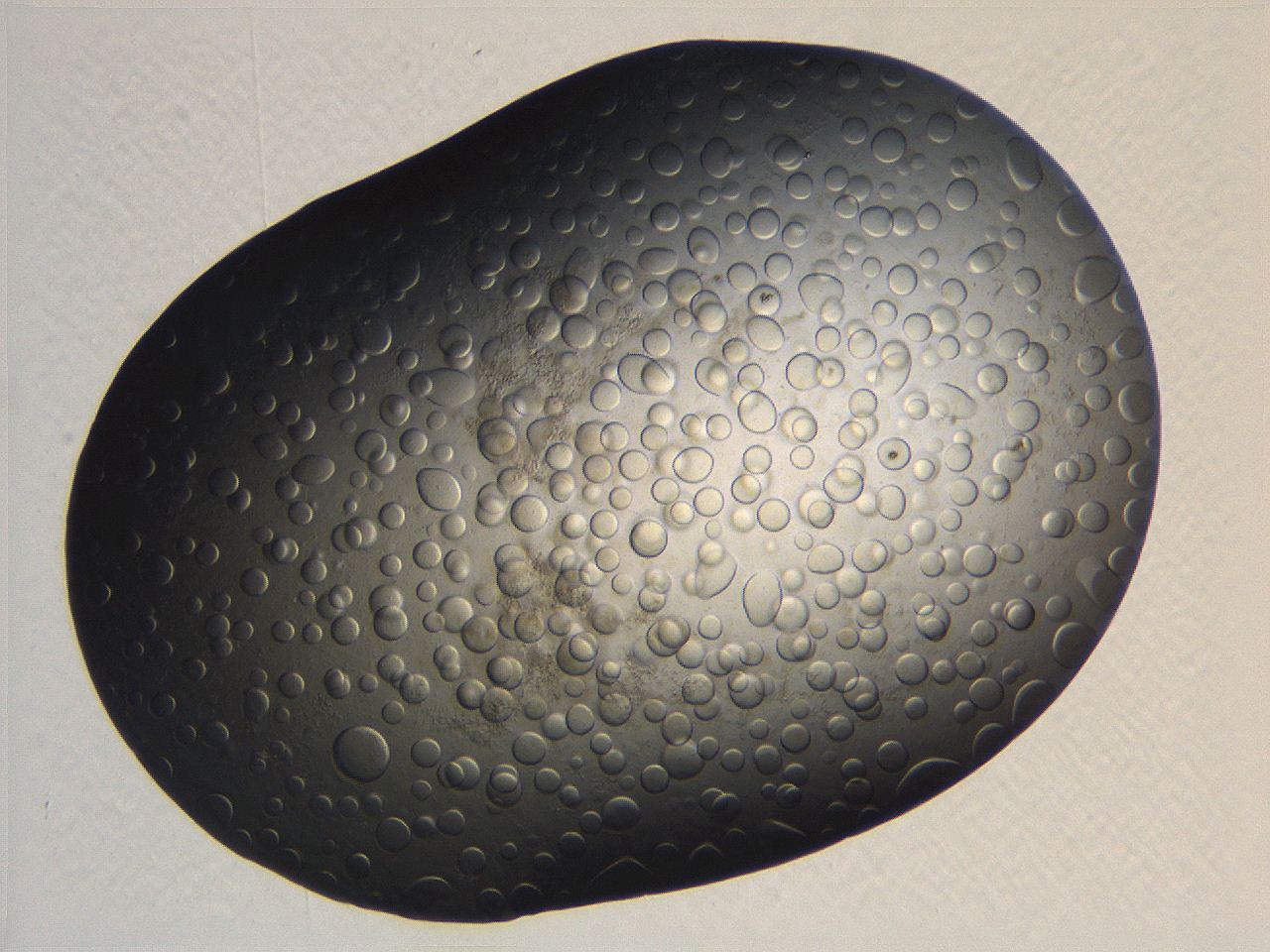 063r_H7_ImagerDefaults_5.jpg