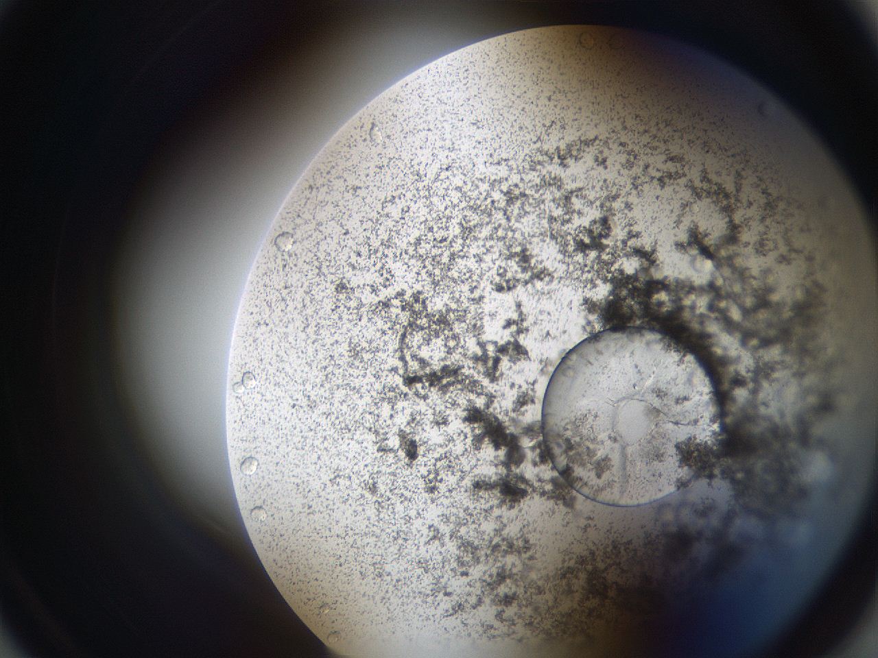 063s_A1_ImagerDefaults_2.jpg