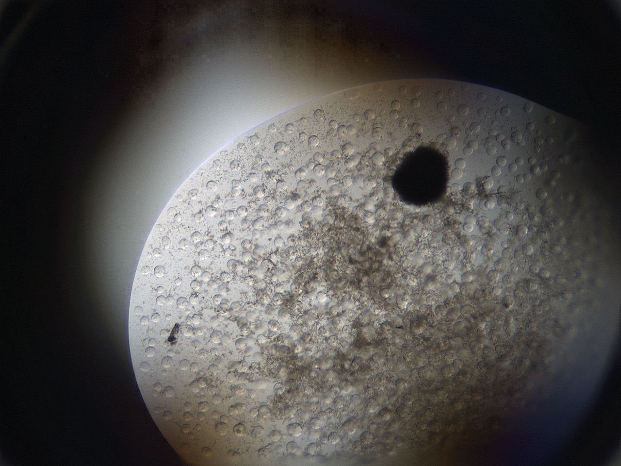 063s_A2_ImagerDefaults_3.jpg